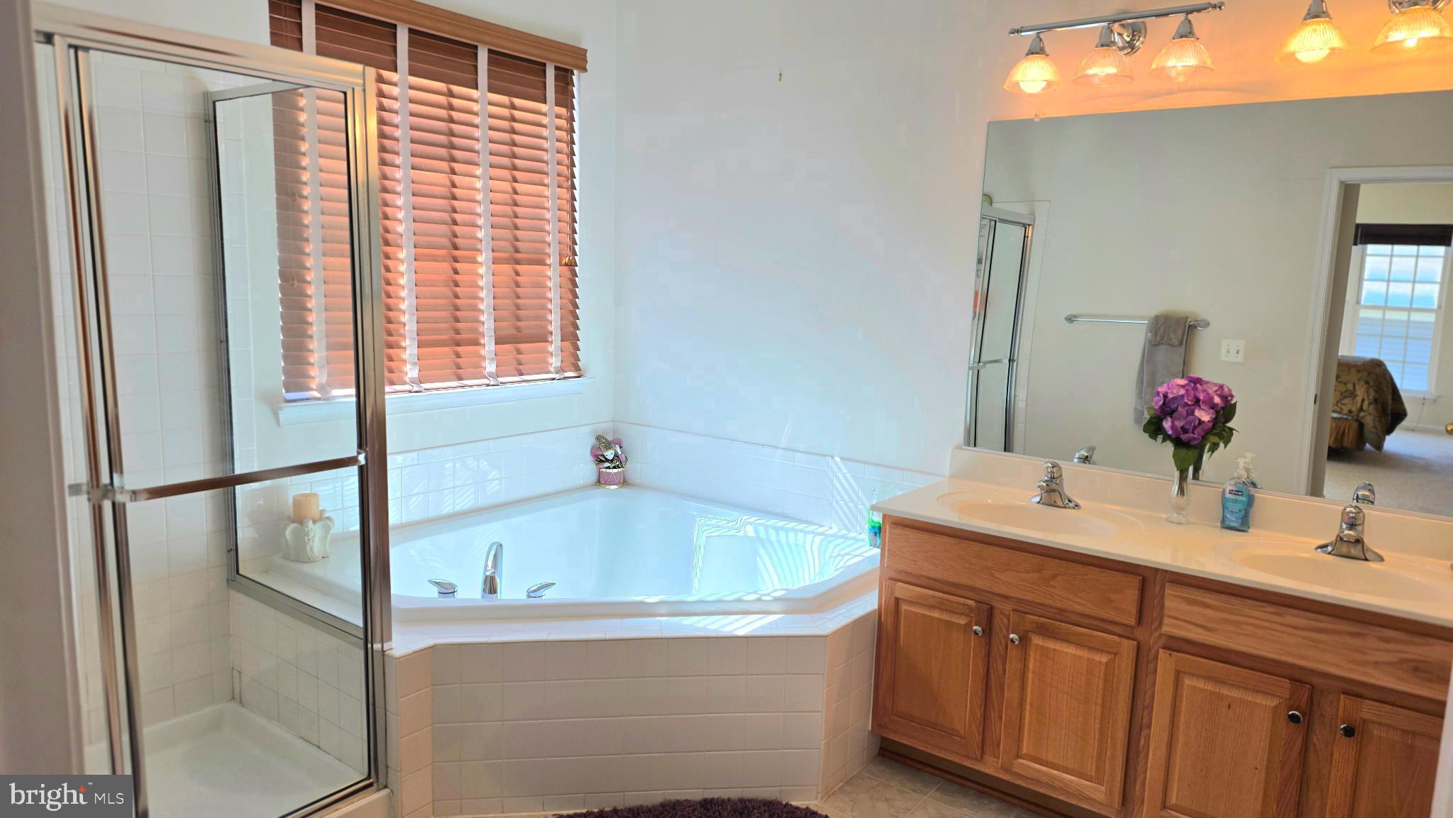 638 Hunters Road Culpeper, VA 22701 - Photo 20 of 46 a bathroom with a tub sink and mirror