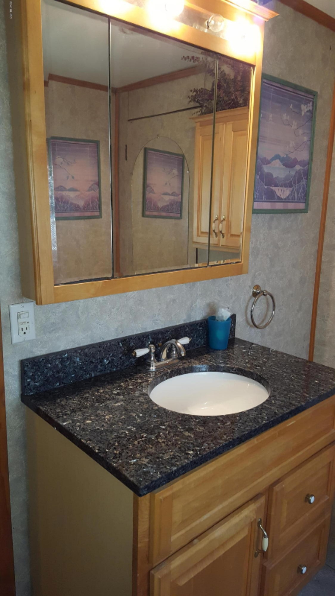 3615 Buffalo Road Galien, MI 49113 - Photo 14 of 26 Bathroom sink