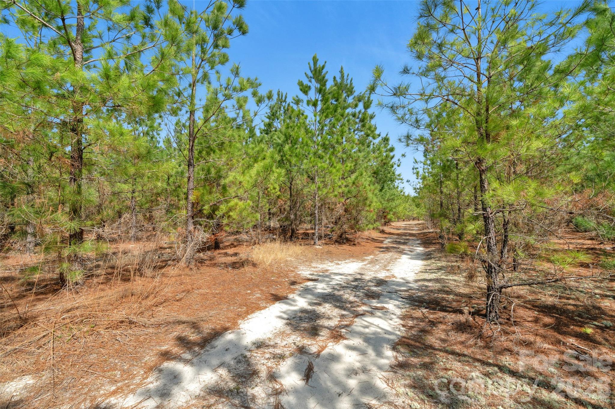 931 Charlie Johnson Road, Unit 7 Kershaw, SC 29067 - Photo 30 of 34