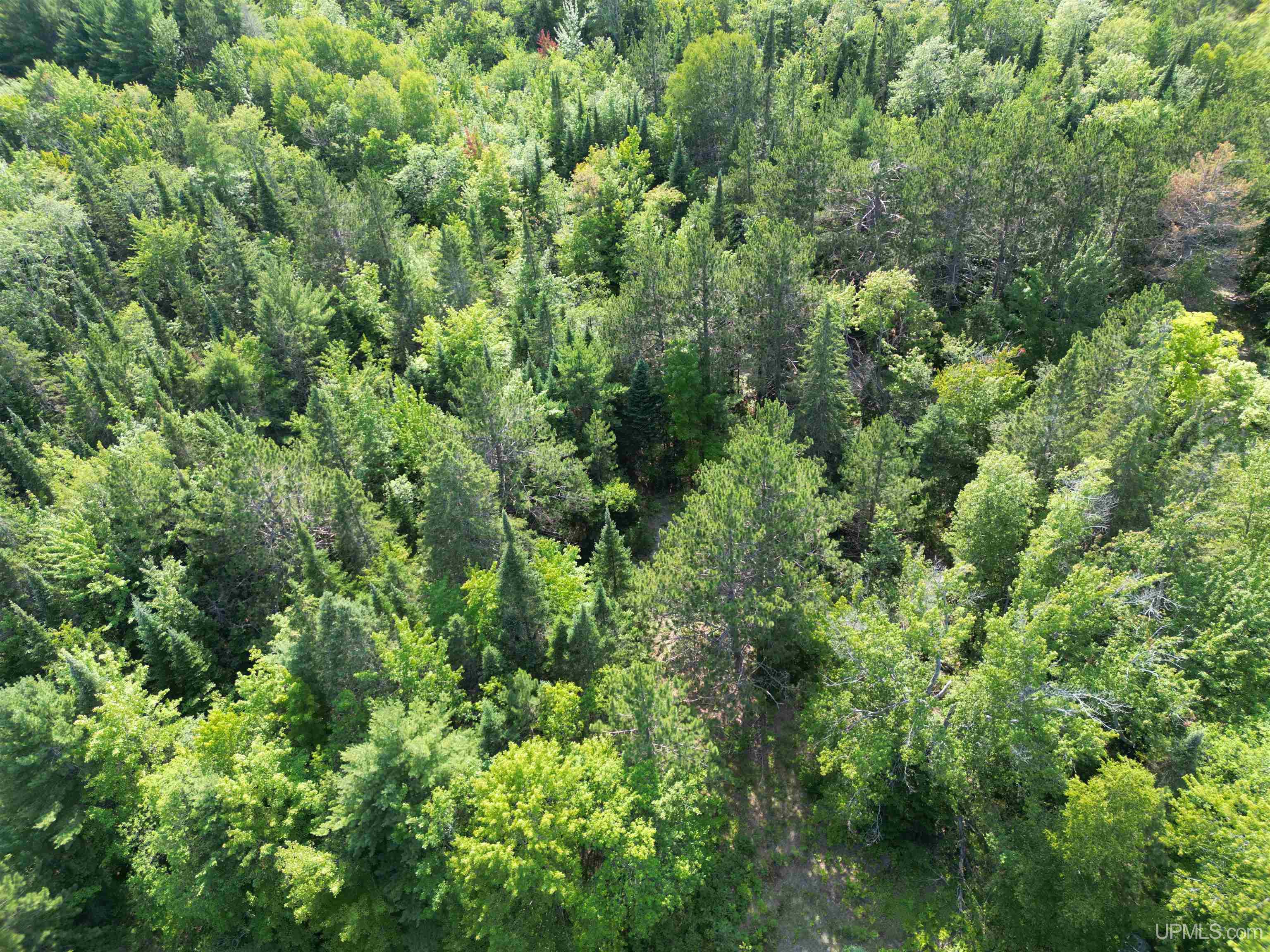 Tbd Tbd Ridge Road Munising, MI 49862 - Photo 5 of 33 Gallery Image 5