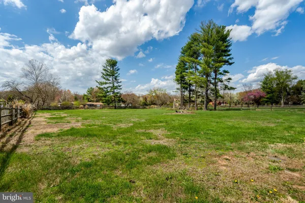 a view of a field with plants and trees