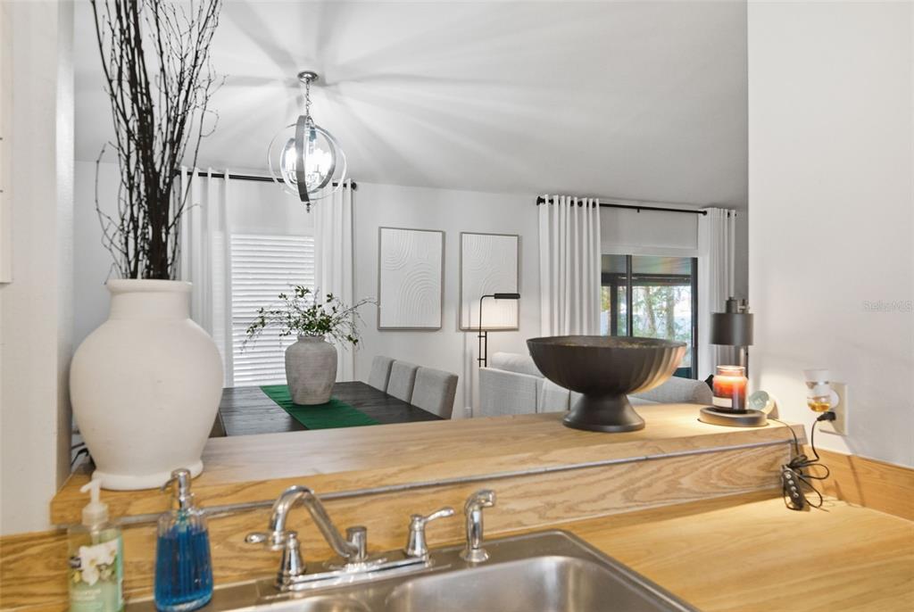 1909 Landside Drive Valrico, FL 33594 - Photo 11 of 36