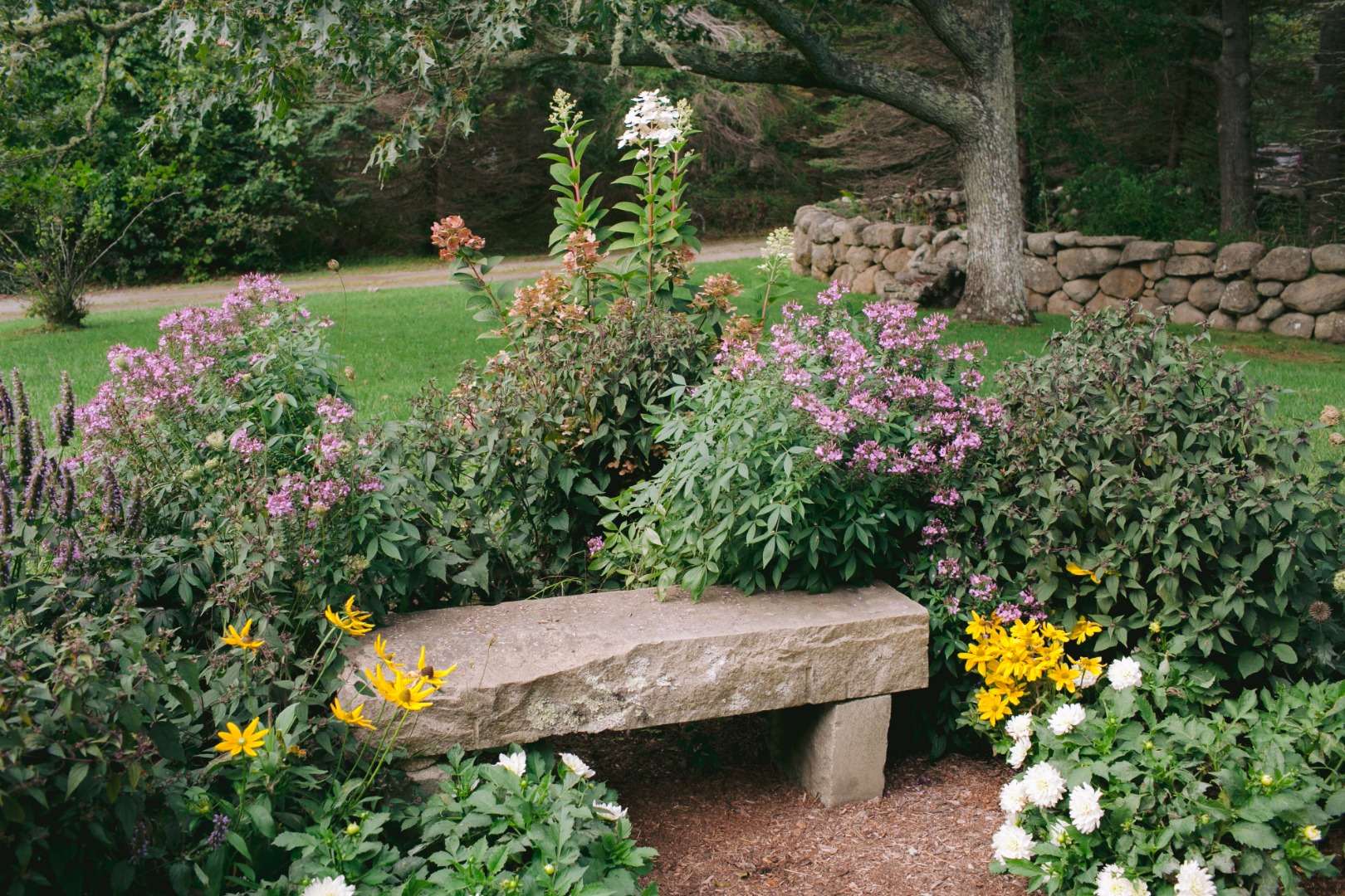 60 Meetinghouse Road Chilmark, MA 02535 - Photo 17 of 23 a view of a yard with plants
