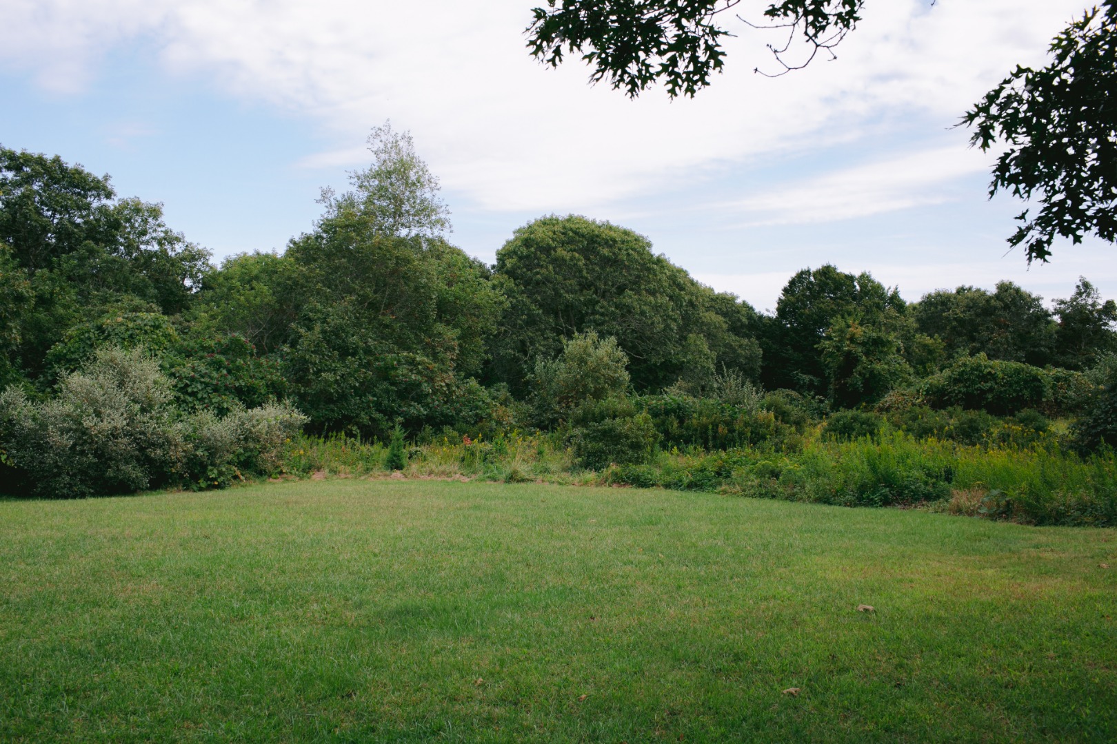 60 Meetinghouse Road Chilmark, MA 02535 - Photo 22 of 23 a view of a grassy field with trees in the background