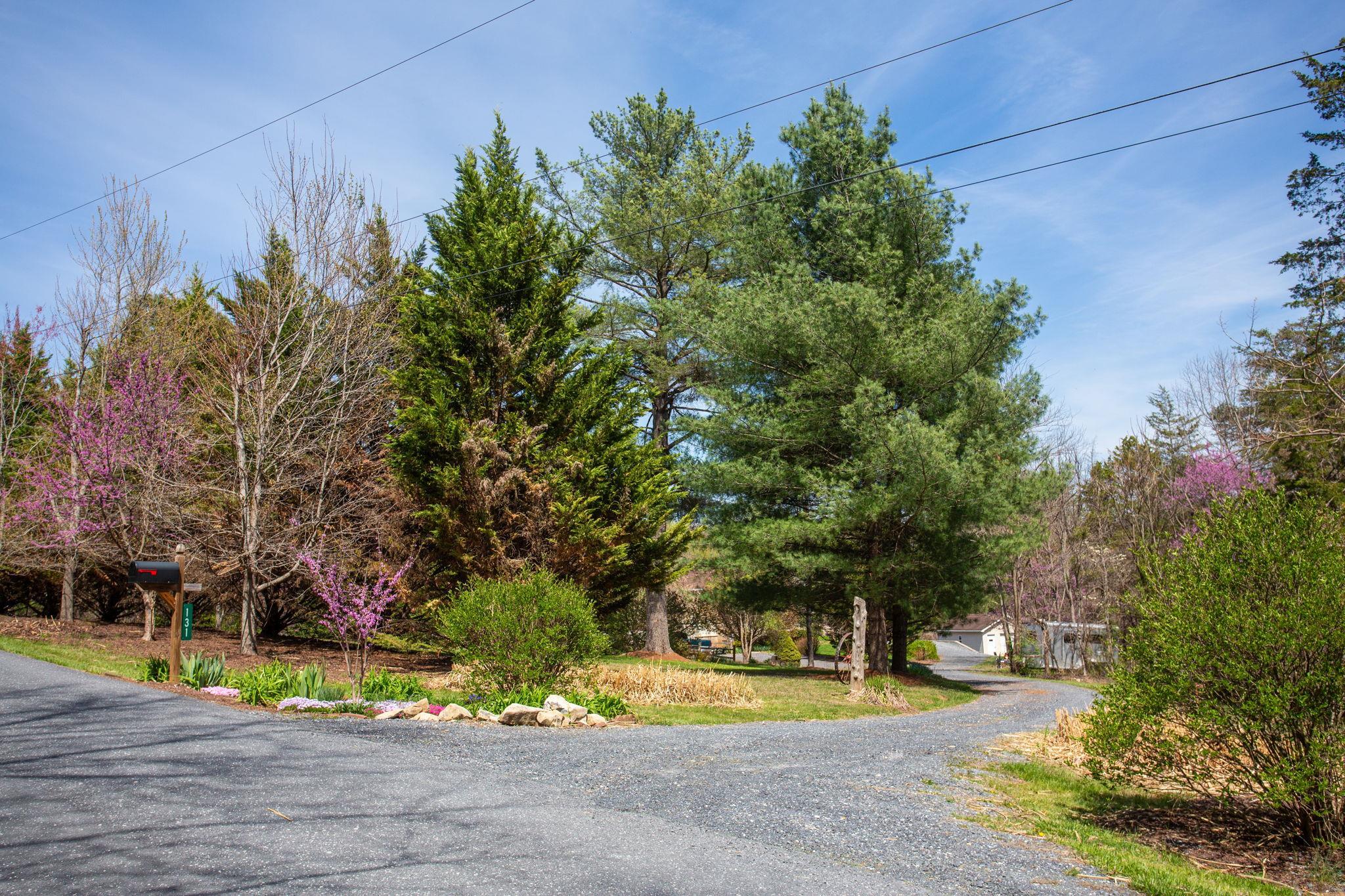 131 Rural Drive Mount Solon, VA 22843 - Photo 25 of 43 Entrance