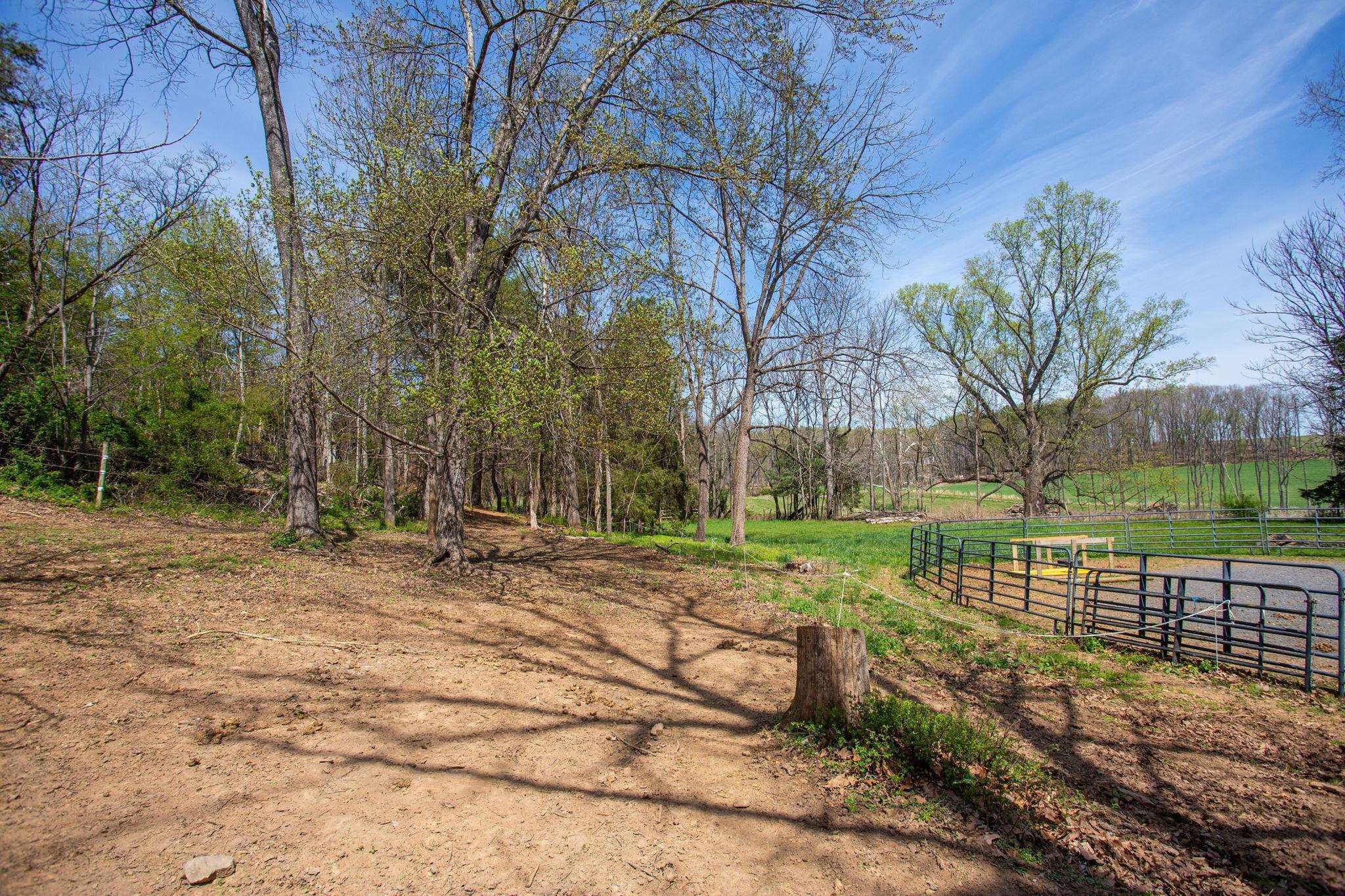 131 Rural Drive Mount Solon, VA 22843 - Photo 33 of 43 with paddock area for horse!