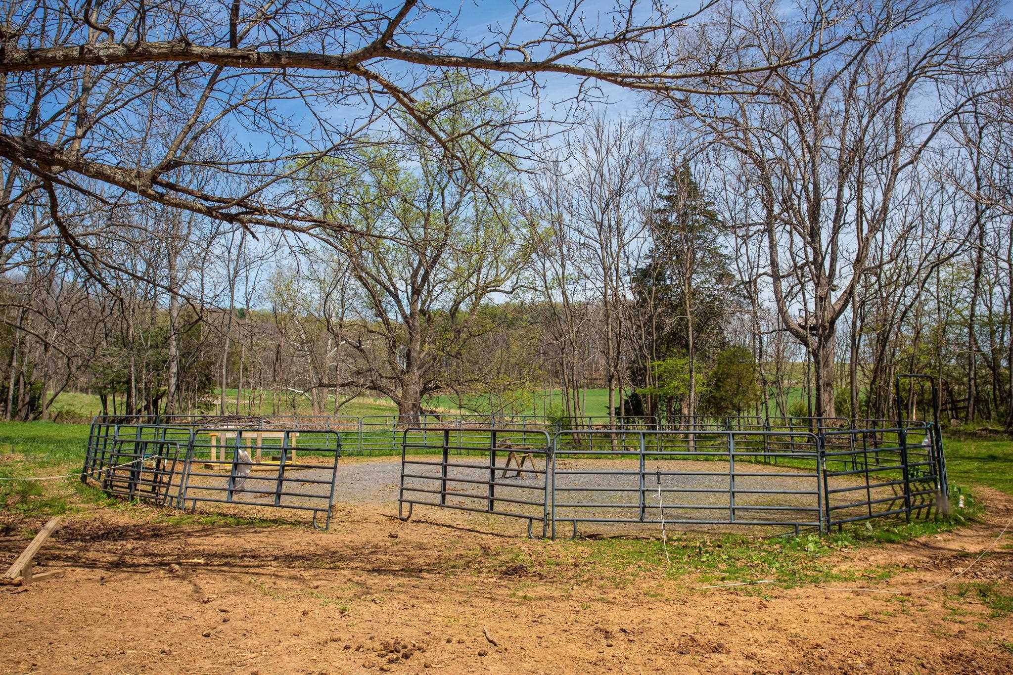 131 Rural Drive Mount Solon, VA 22843 - Photo 34 of 43 Riding Ring