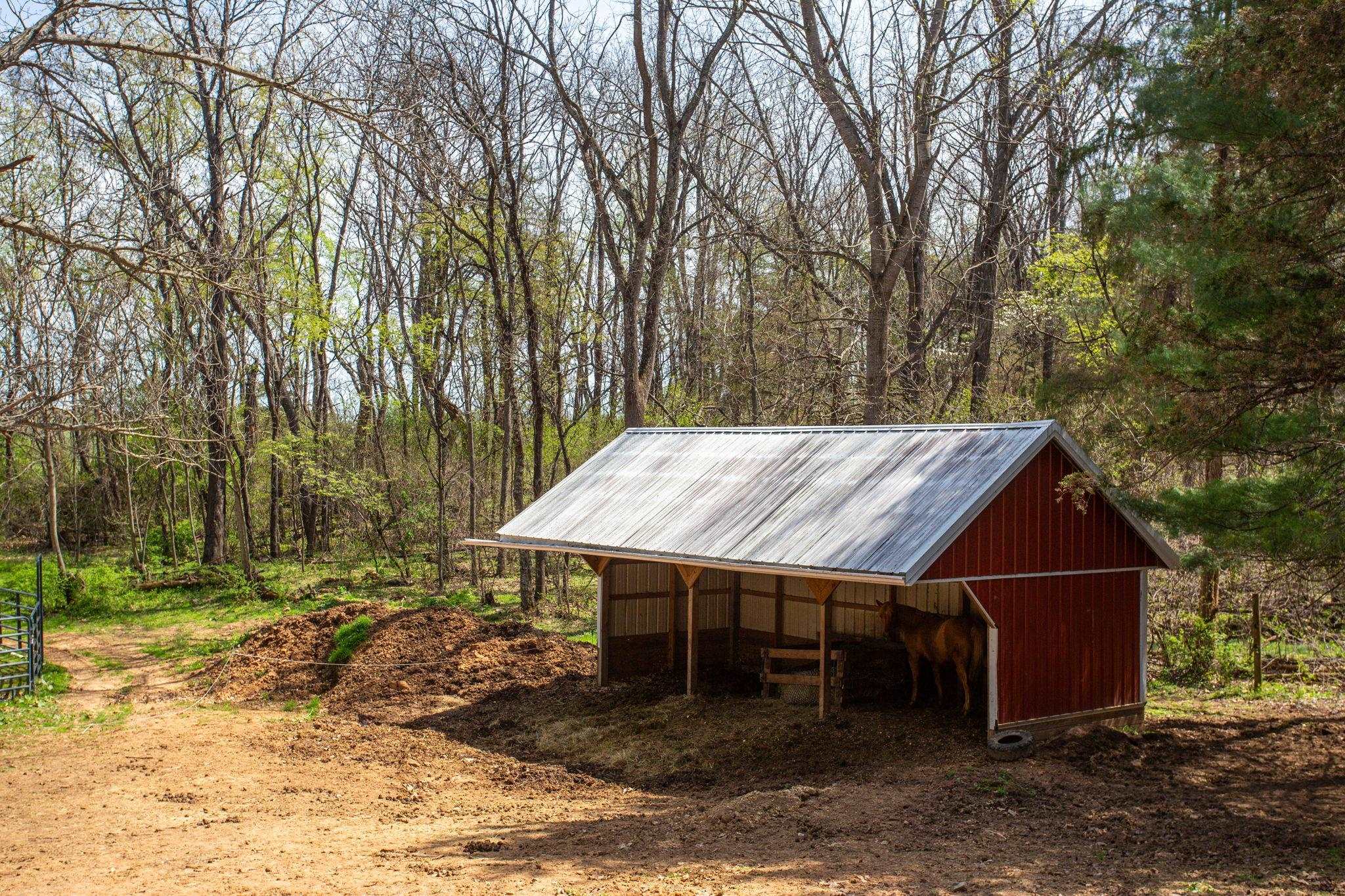 131 Rural Drive Mount Solon, VA 22843 - Photo 35 of 43 Stable