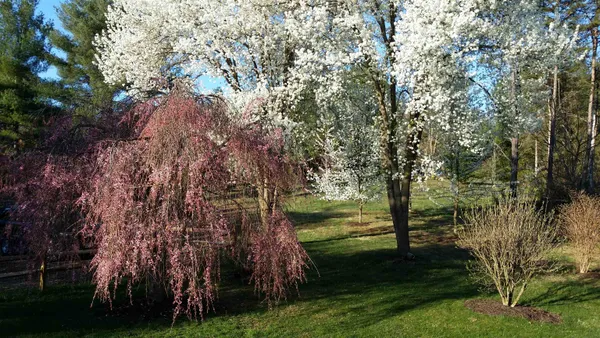 $836,000 | 131 Rural Drive, Mount Solon, VA 22843