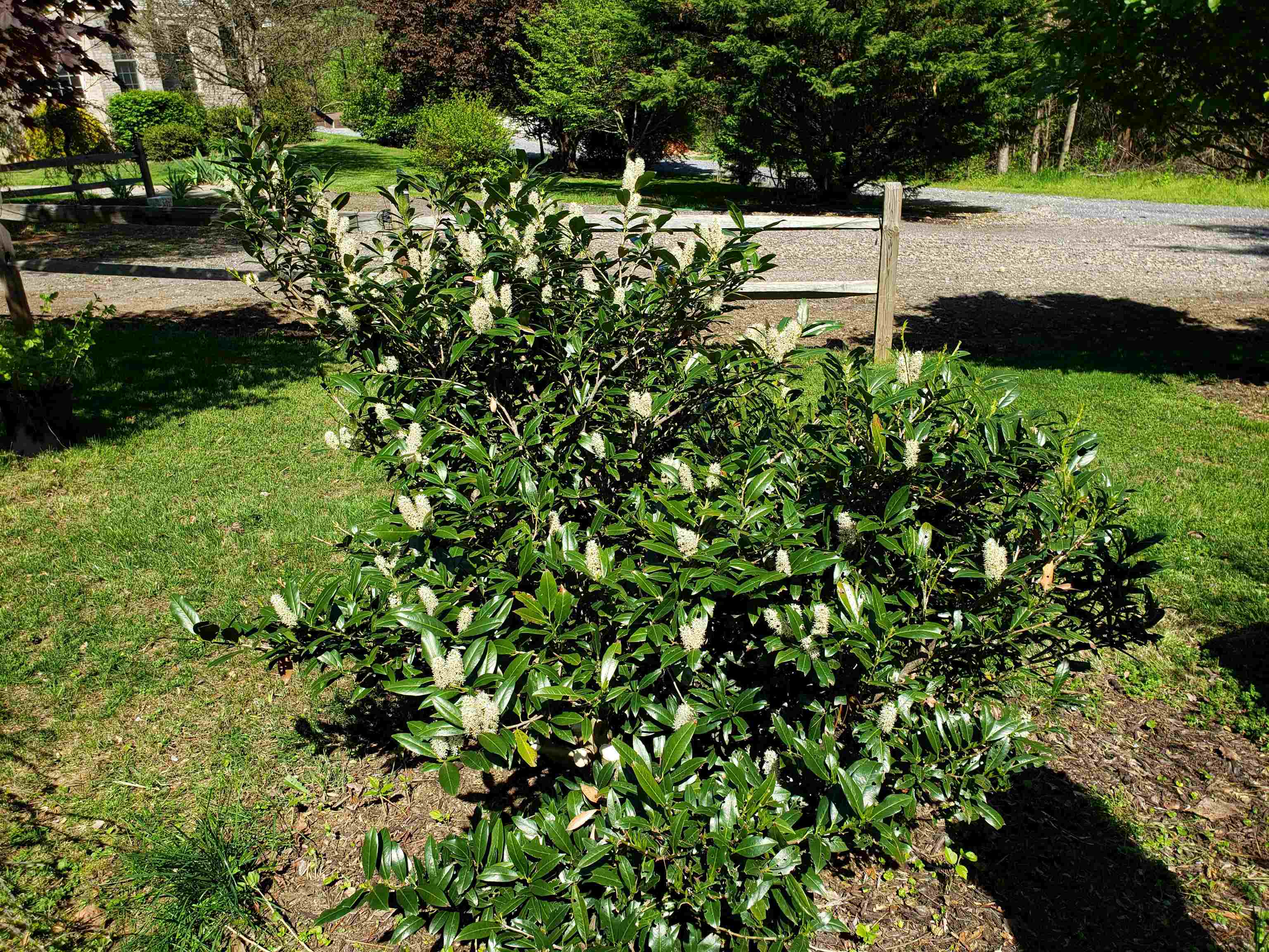 131 Rural Drive Mount Solon, VA 22843 - Photo 40 of 43 Front Entrance Area