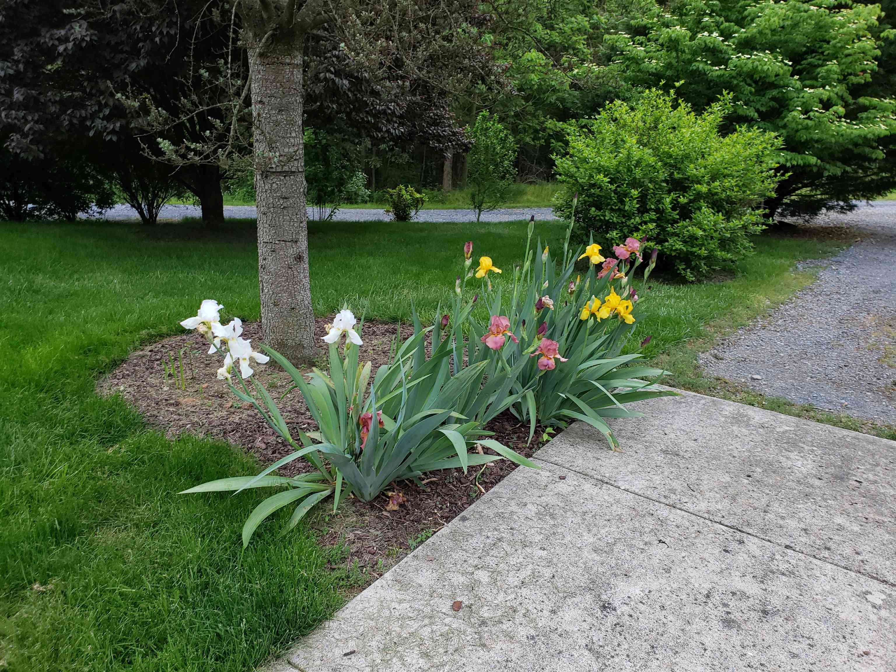 131 Rural Drive Mount Solon, VA 22843 - Photo 41 of 43 Entrance adorn with color!