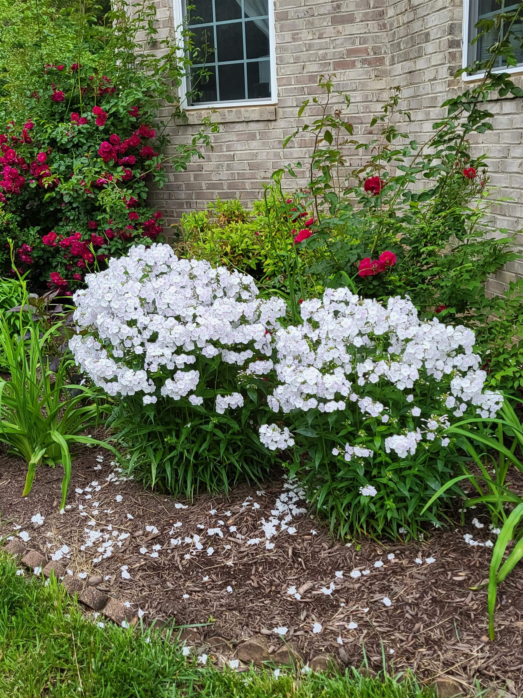 131 Rural Drive Mount Solon, VA 22843 - Photo 42 of 43 Great Colors