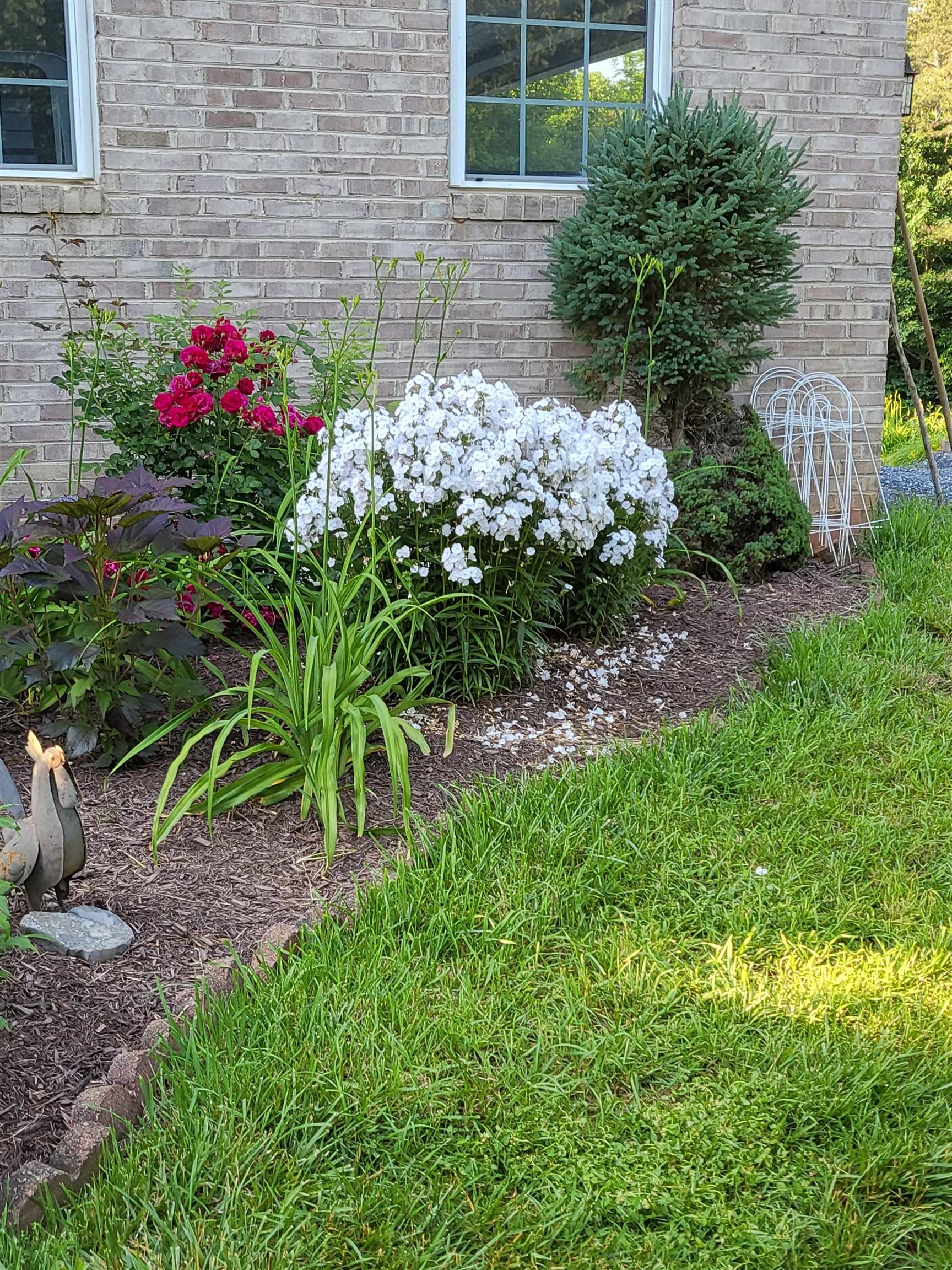 131 Rural Drive Mount Solon, VA 22843 - Photo 43 of 43 Nicely landscaped!
