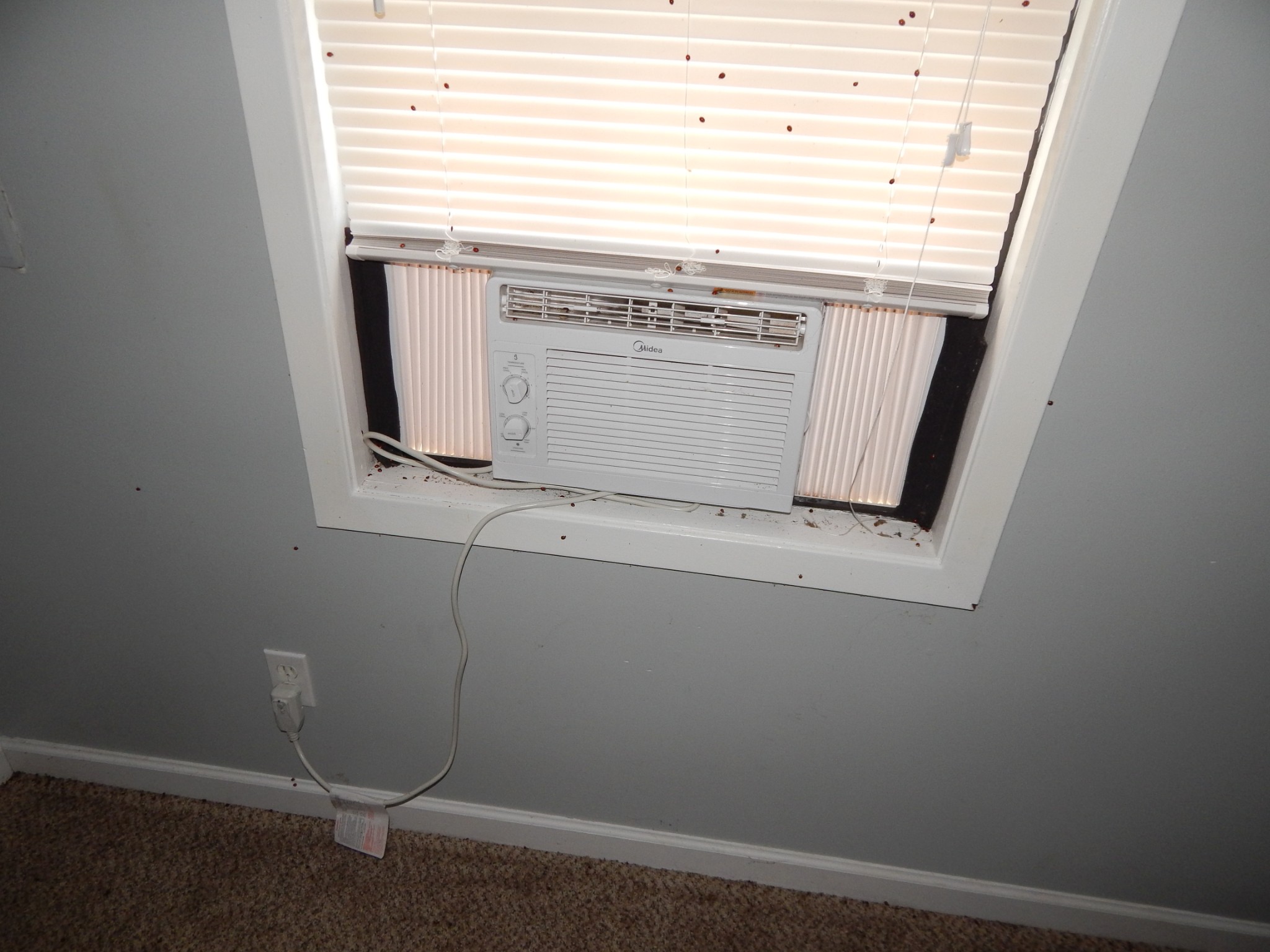 3355 Willie Maudlin Road Lutts, TN 38471 - Photo 26 of 43