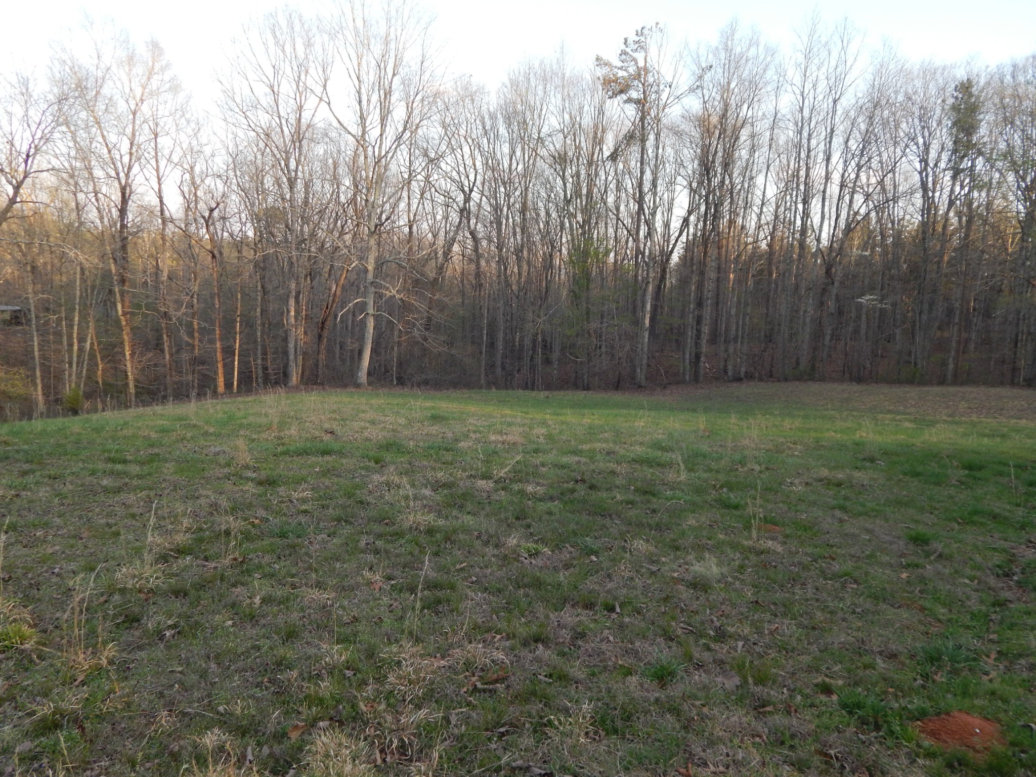 3355 Willie Maudlin Road Lutts, TN 38471 - Photo 30 of 43