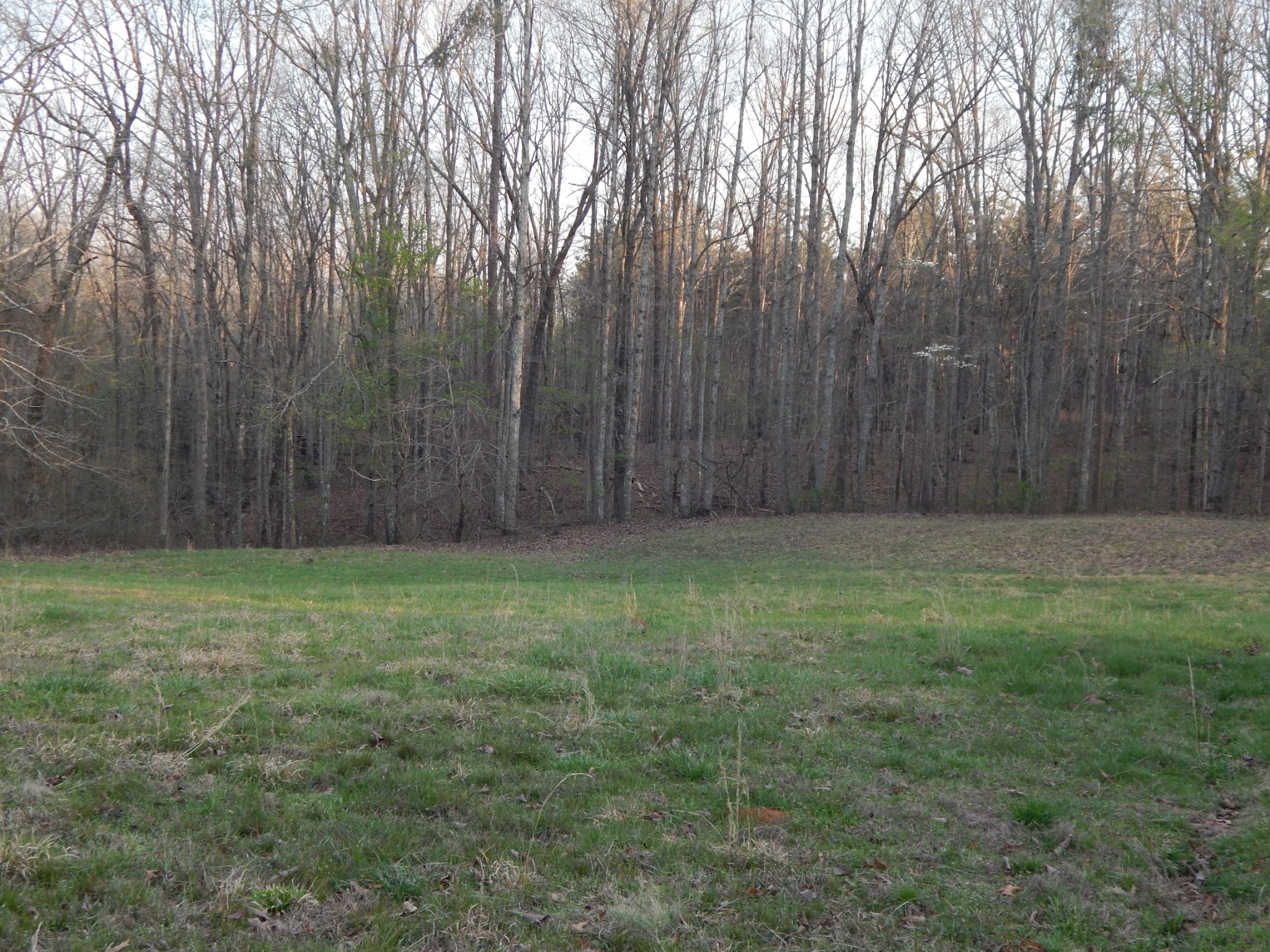 3355 Willie Maudlin Road Lutts, TN 38471 - Photo 31 of 43