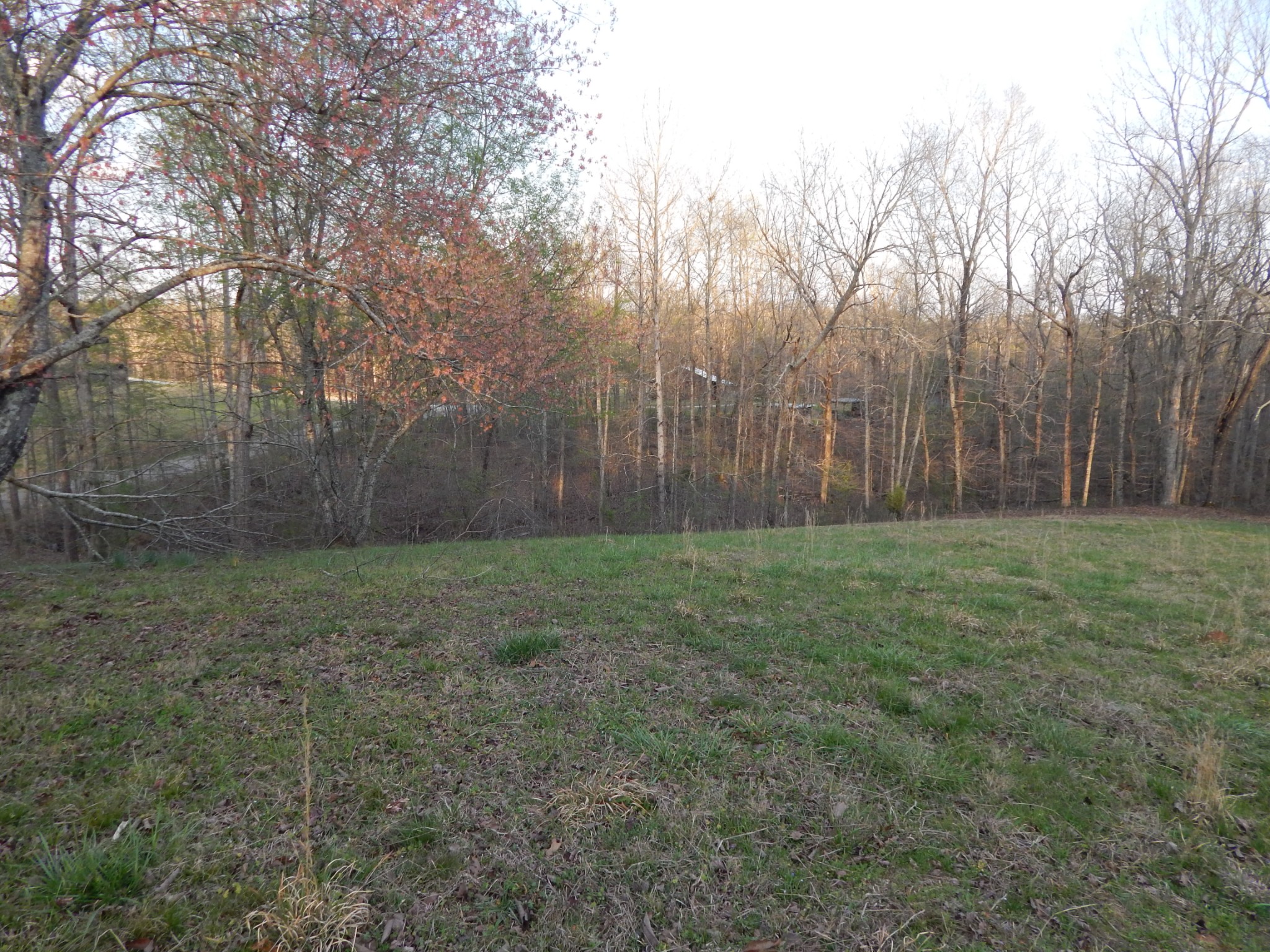 3355 Willie Maudlin Road Lutts, TN 38471 - Photo 32 of 43