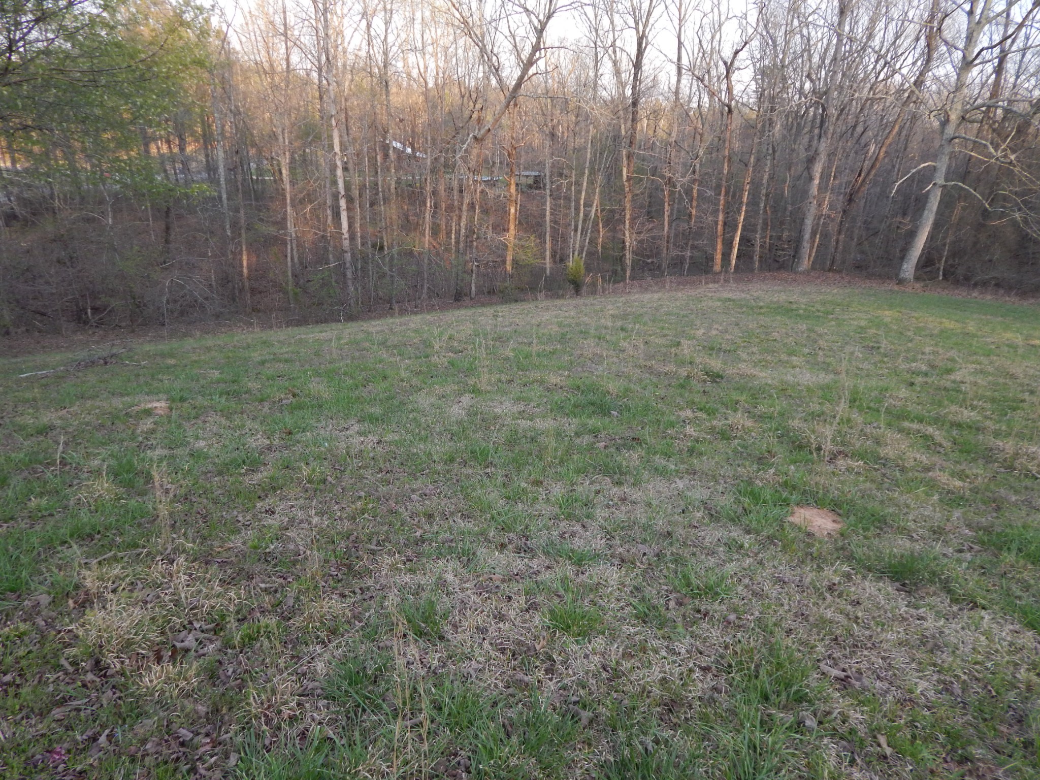 3355 Willie Maudlin Road Lutts, TN 38471 - Photo 33 of 43