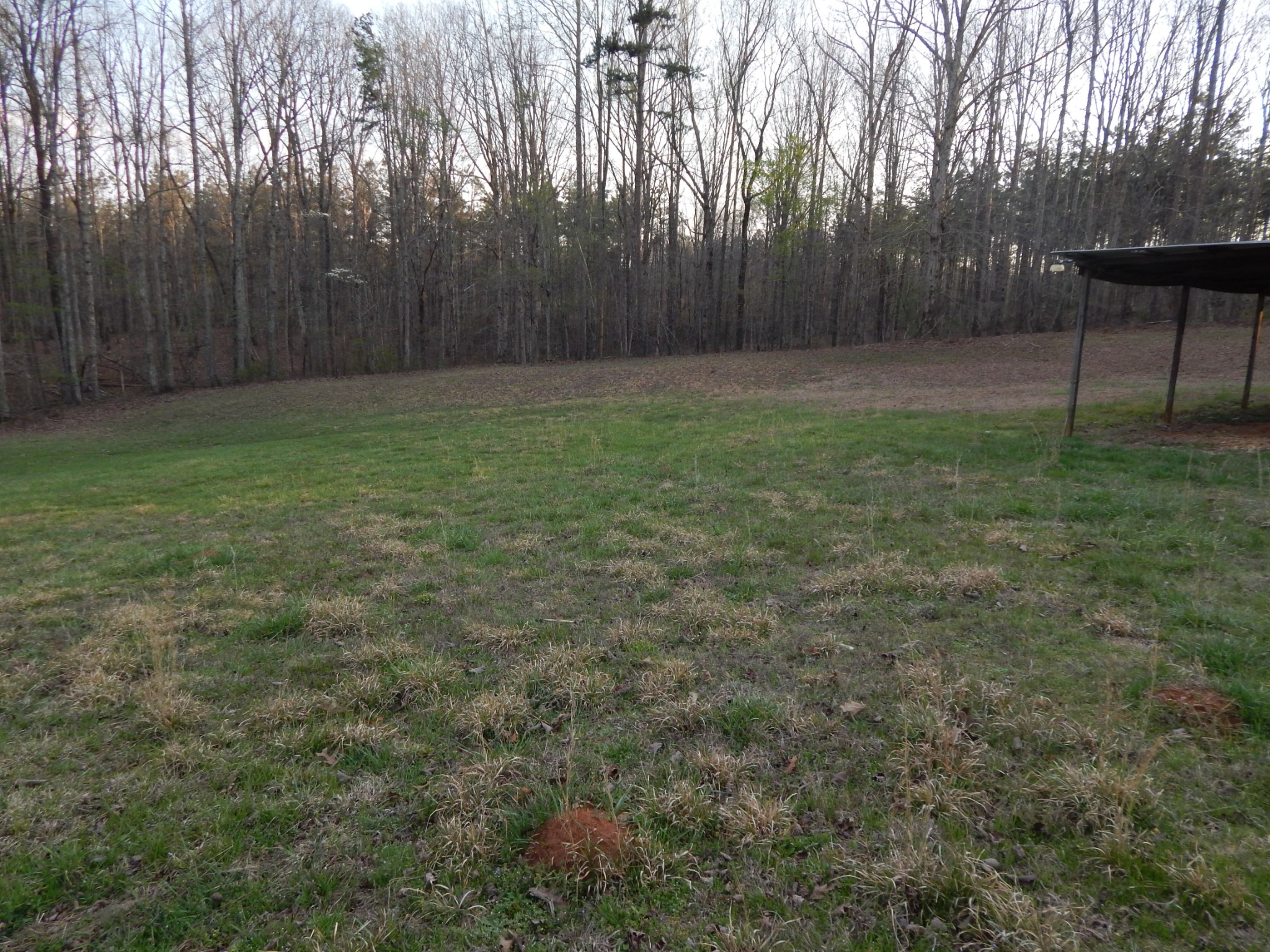 3355 Willie Maudlin Road Lutts, TN 38471 - Photo 34 of 43