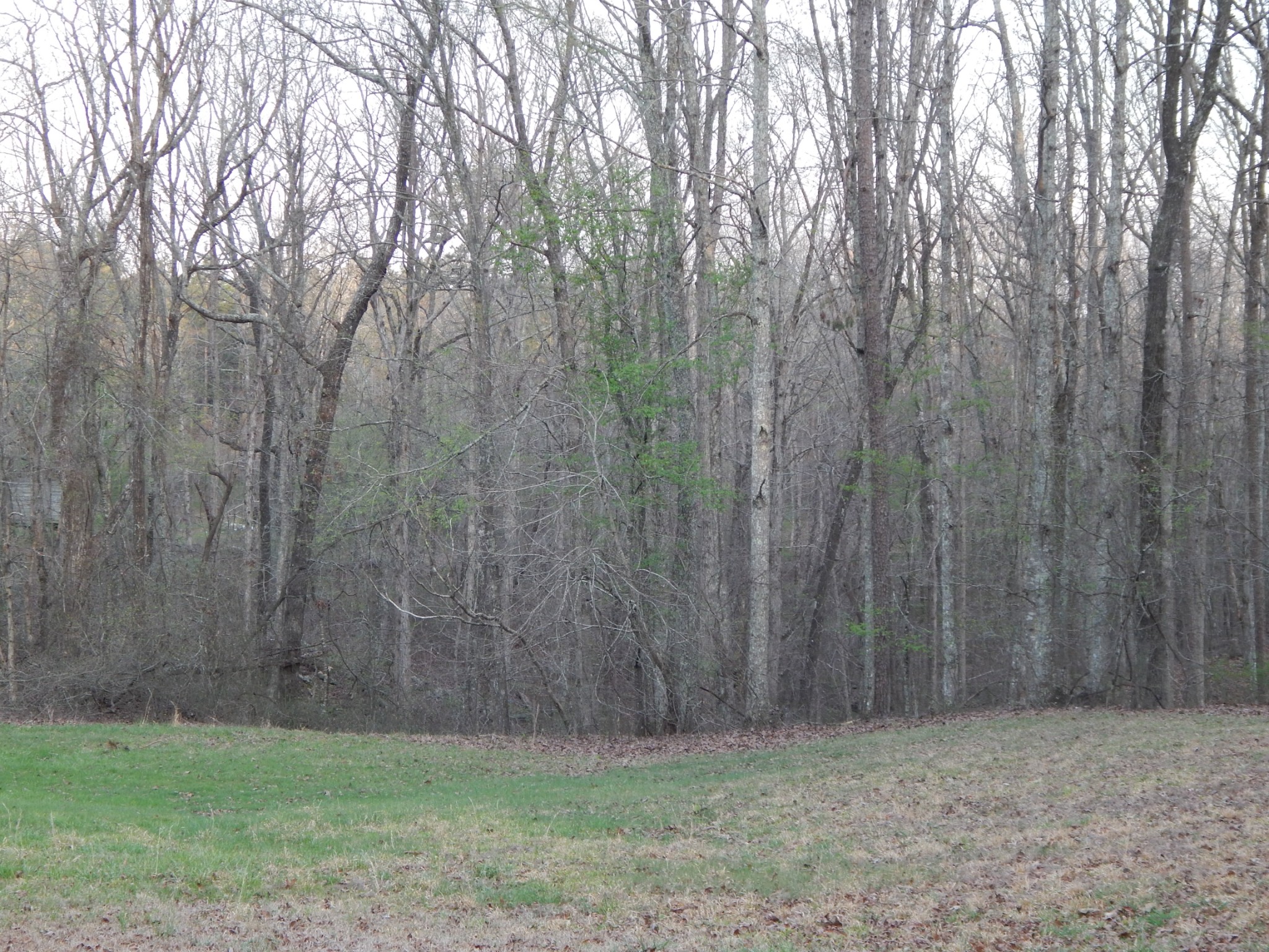 3355 Willie Maudlin Road Lutts, TN 38471 - Photo 36 of 43