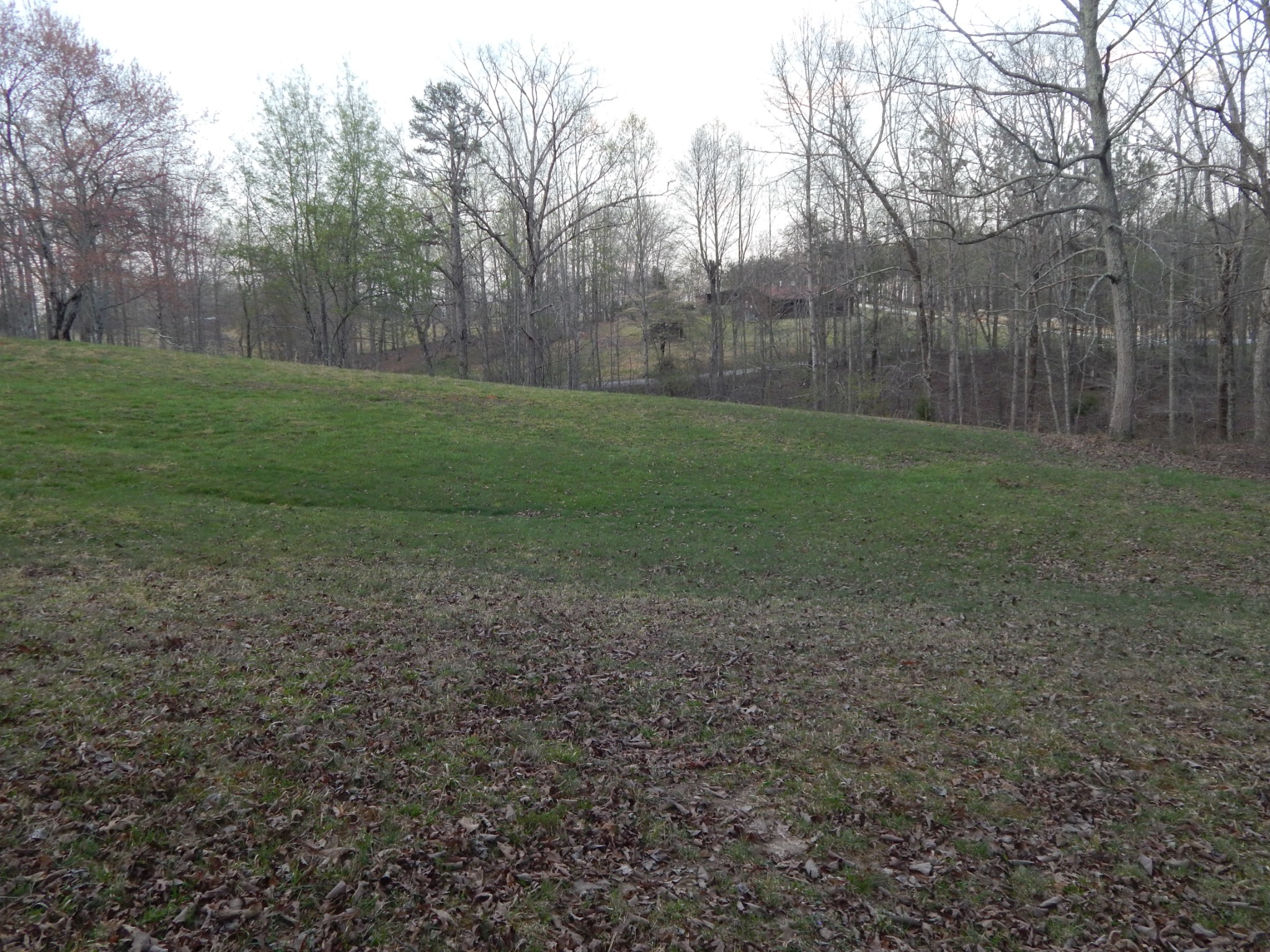 3355 Willie Maudlin Road Lutts, TN 38471 - Photo 41 of 43