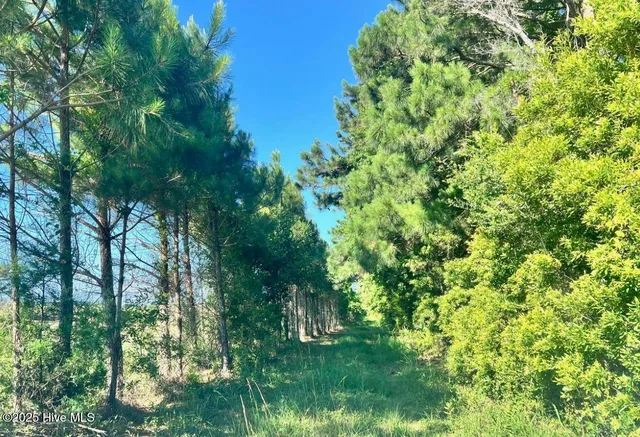 $375,000 | 315 Amos Gillikin Road, Beaufort, NC 28516