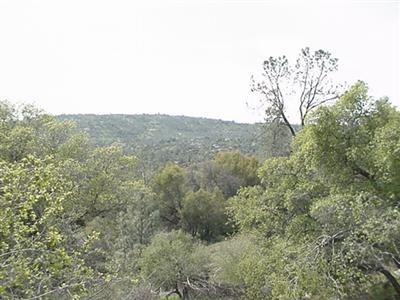 456 Revis Road Coarsegold, CA 93614 - Photo 3 of 4 Gallery Image 3