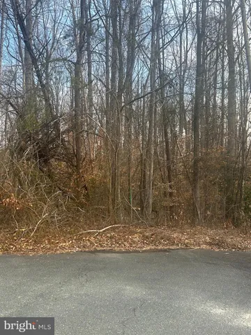 a view of a pathway with a yard