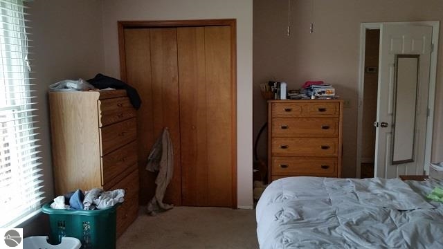 9576 West Drew Road Weidman, MI 48893 - Photo 18 of 30 1795054-17.JPG