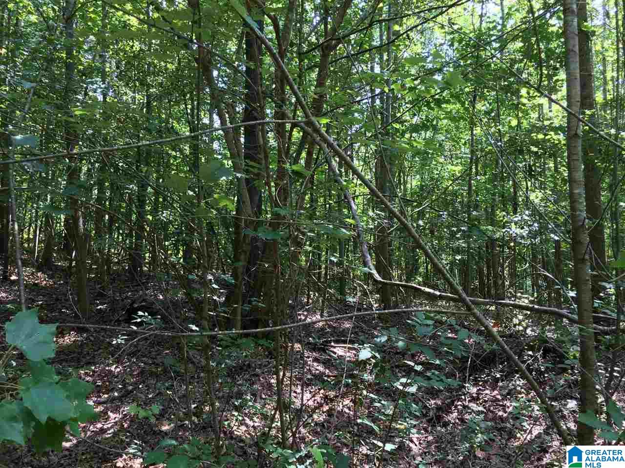 Spunky Hollow Road, Unit 18 7 Oneonta, AL 35121 - Photo 36 of 46
