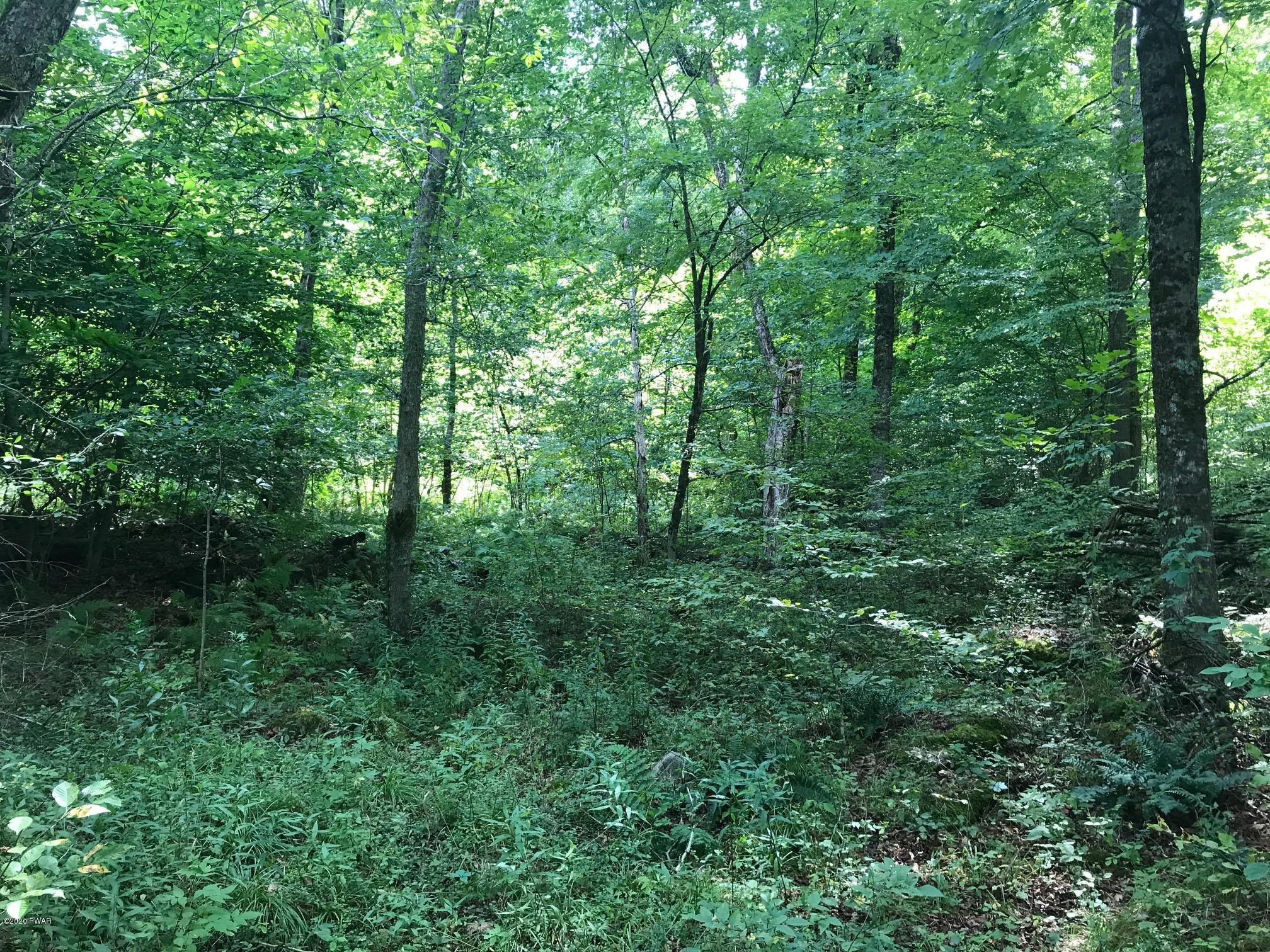 Creek Road Equinunk, PA 18417 - Photo 6 of 9
