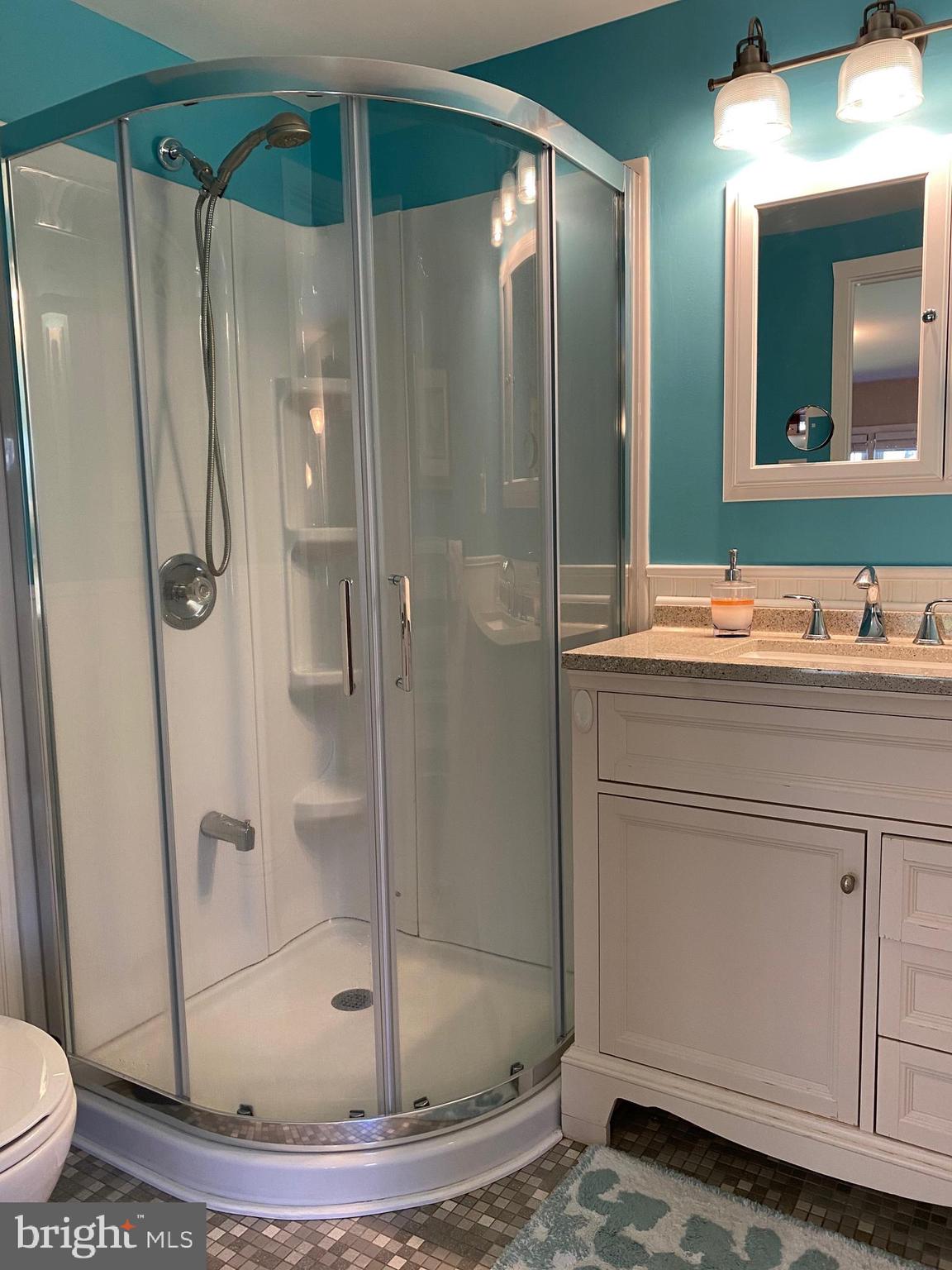 4698 Lower Mountain Road New Hope, PA 18938 - Photo 12 of 25 Master Bathroom