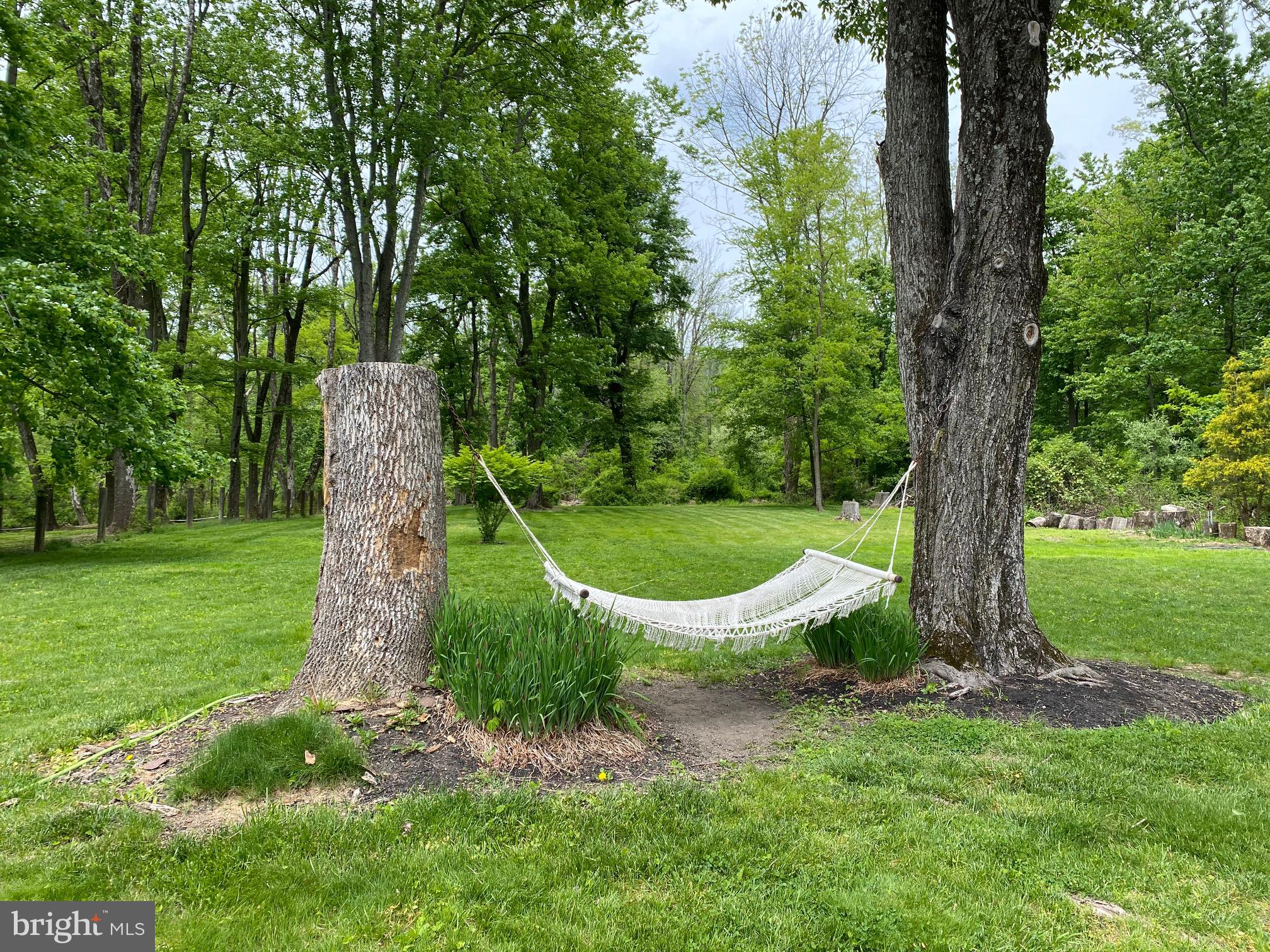 4698 Lower Mountain Road New Hope, PA 18938 - Photo 24 of 25 Secluded Relaxation