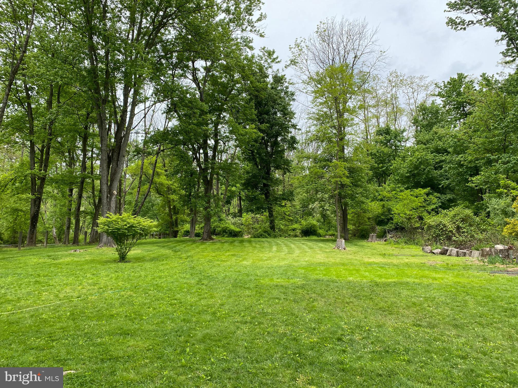 4698 Lower Mountain Road New Hope, PA 18938 - Photo 25 of 25 Backyard View