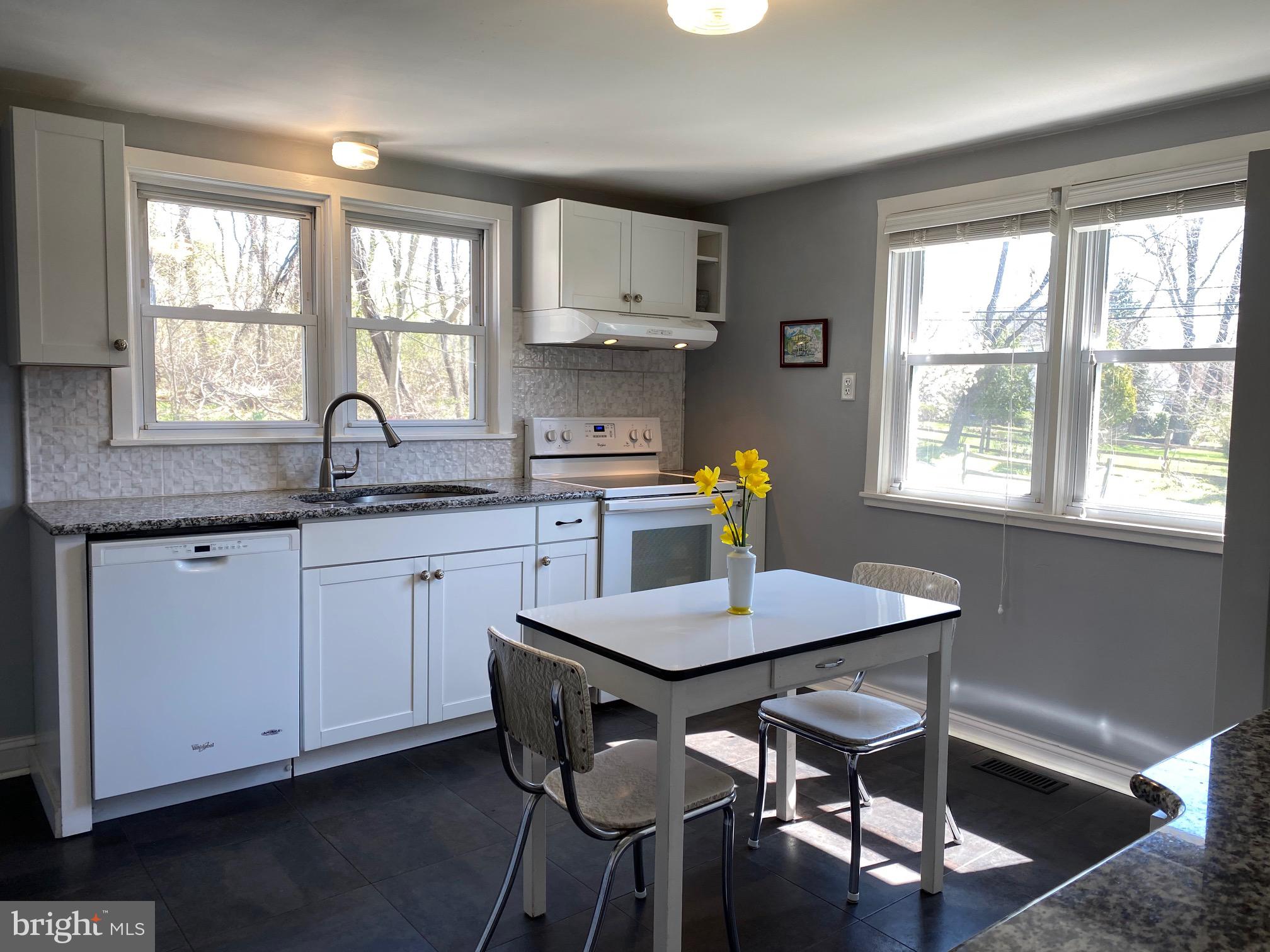 4698 Lower Mountain Road New Hope, PA 18938 - Photo 7 of 25 Kitchen