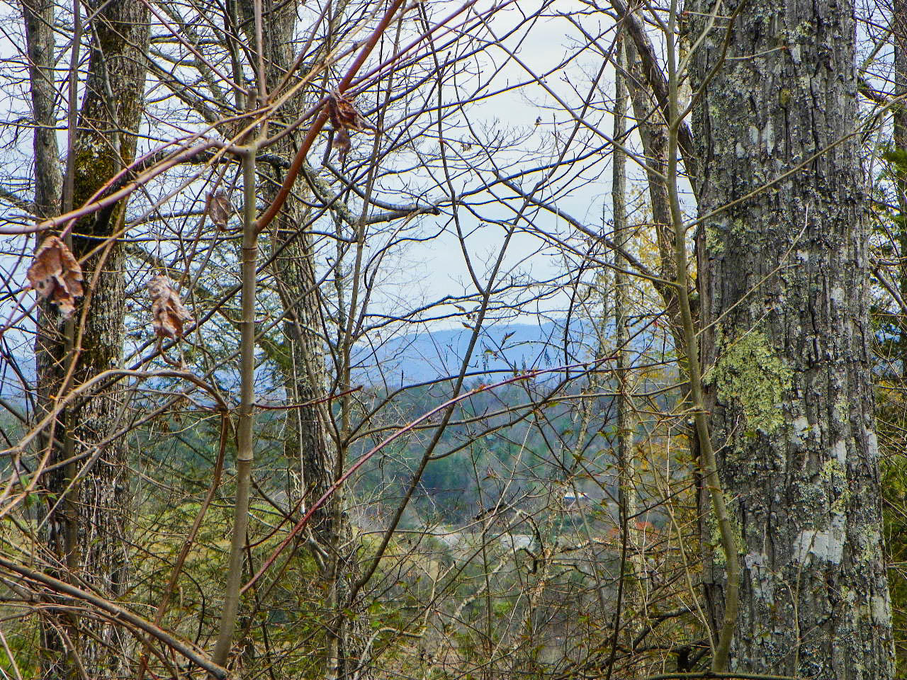 Lot#1 Shady Grove Road Sevierville, TN 37876 - Photo 1 of 8 103_3264
