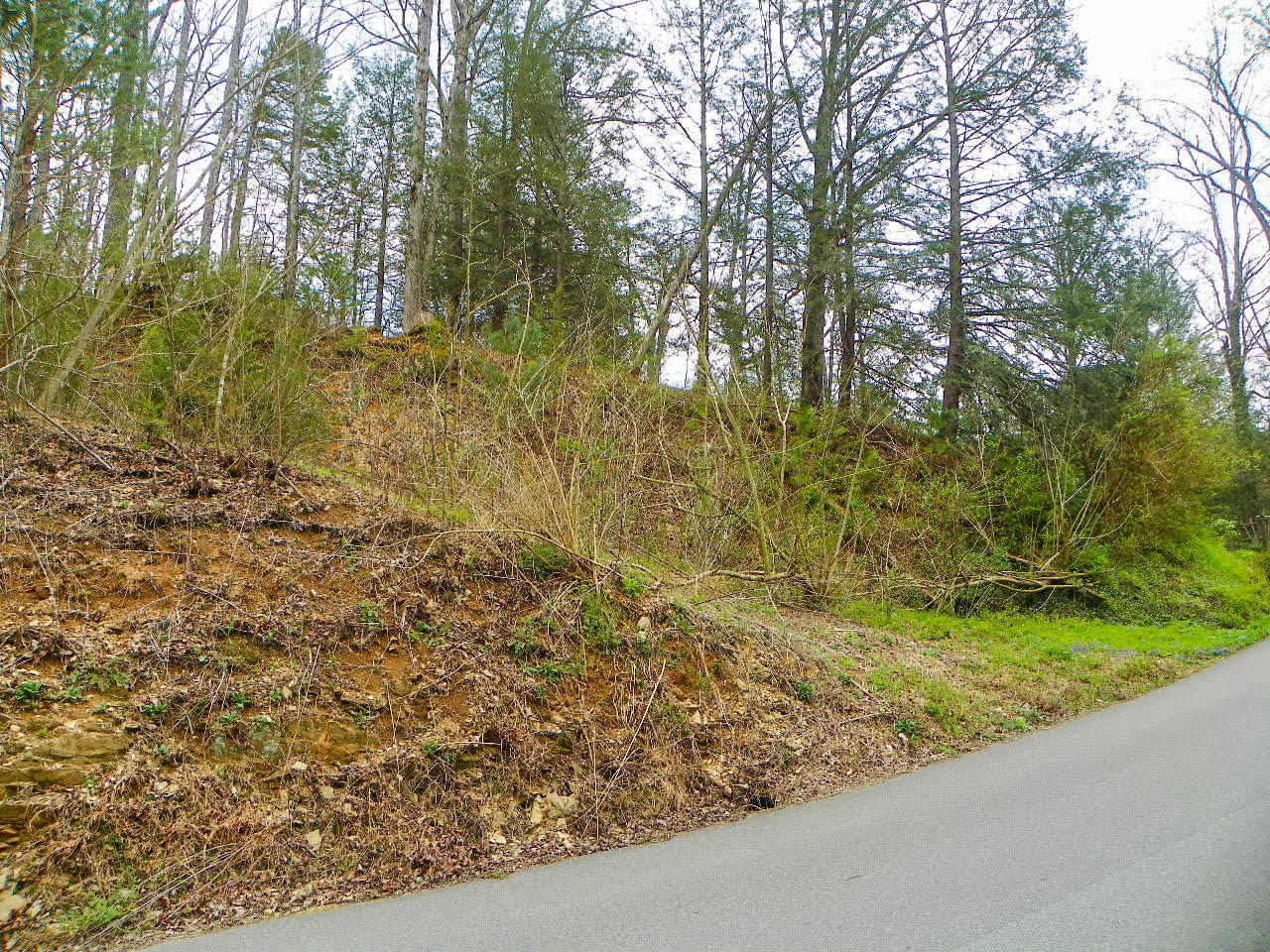 Lot#1 Shady Grove Road Sevierville, TN 37876 - Photo 2 of 8 103_3274