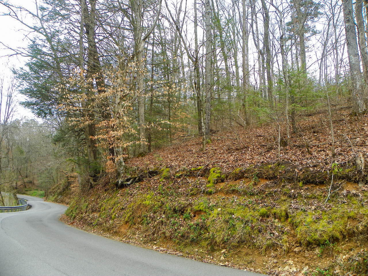 Lot#1 Shady Grove Road Sevierville, TN 37876 - Photo 3 of 8 103_3275