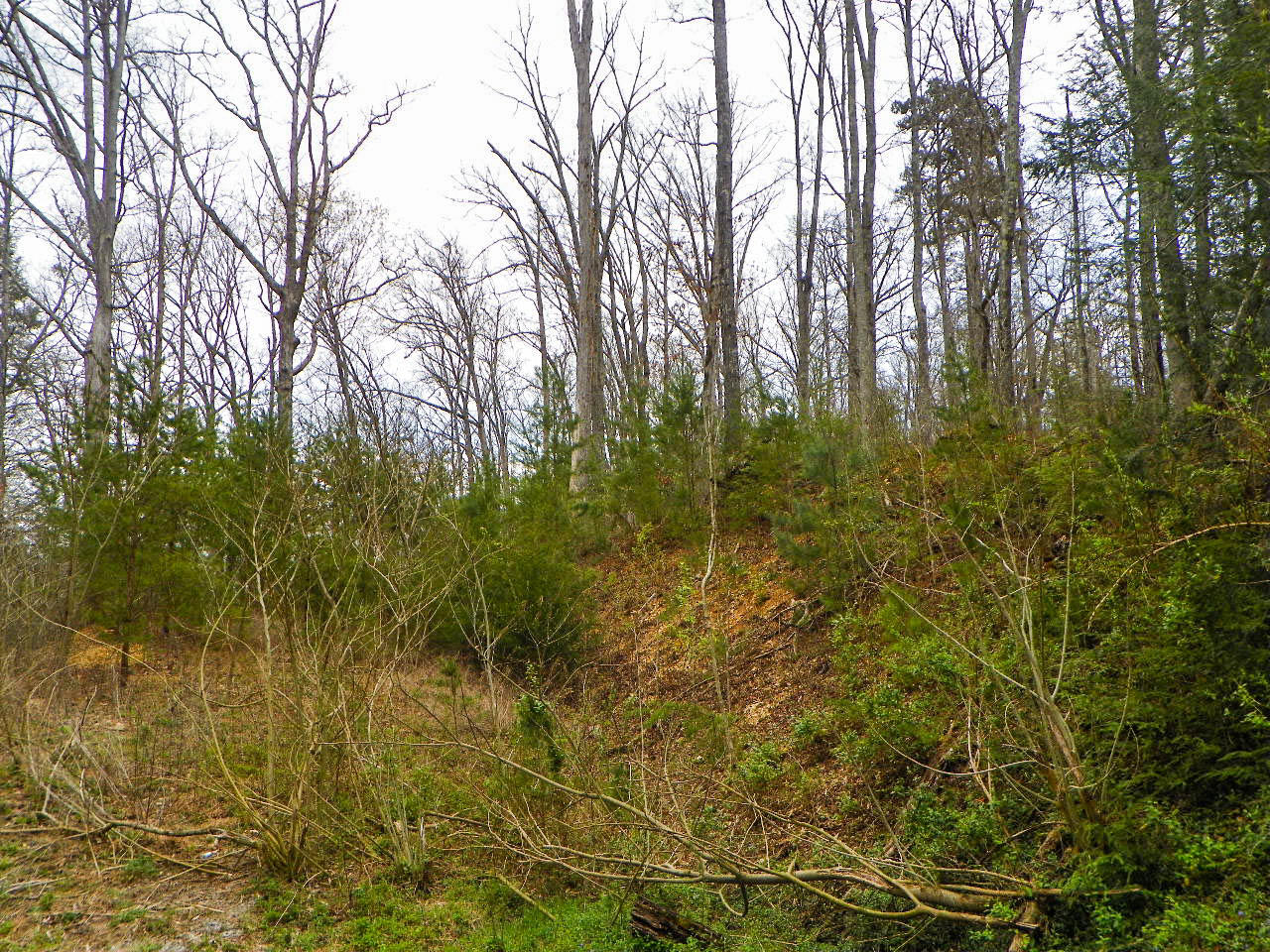 Lot#1 Shady Grove Road Sevierville, TN 37876 - Photo 4 of 8 103_3272