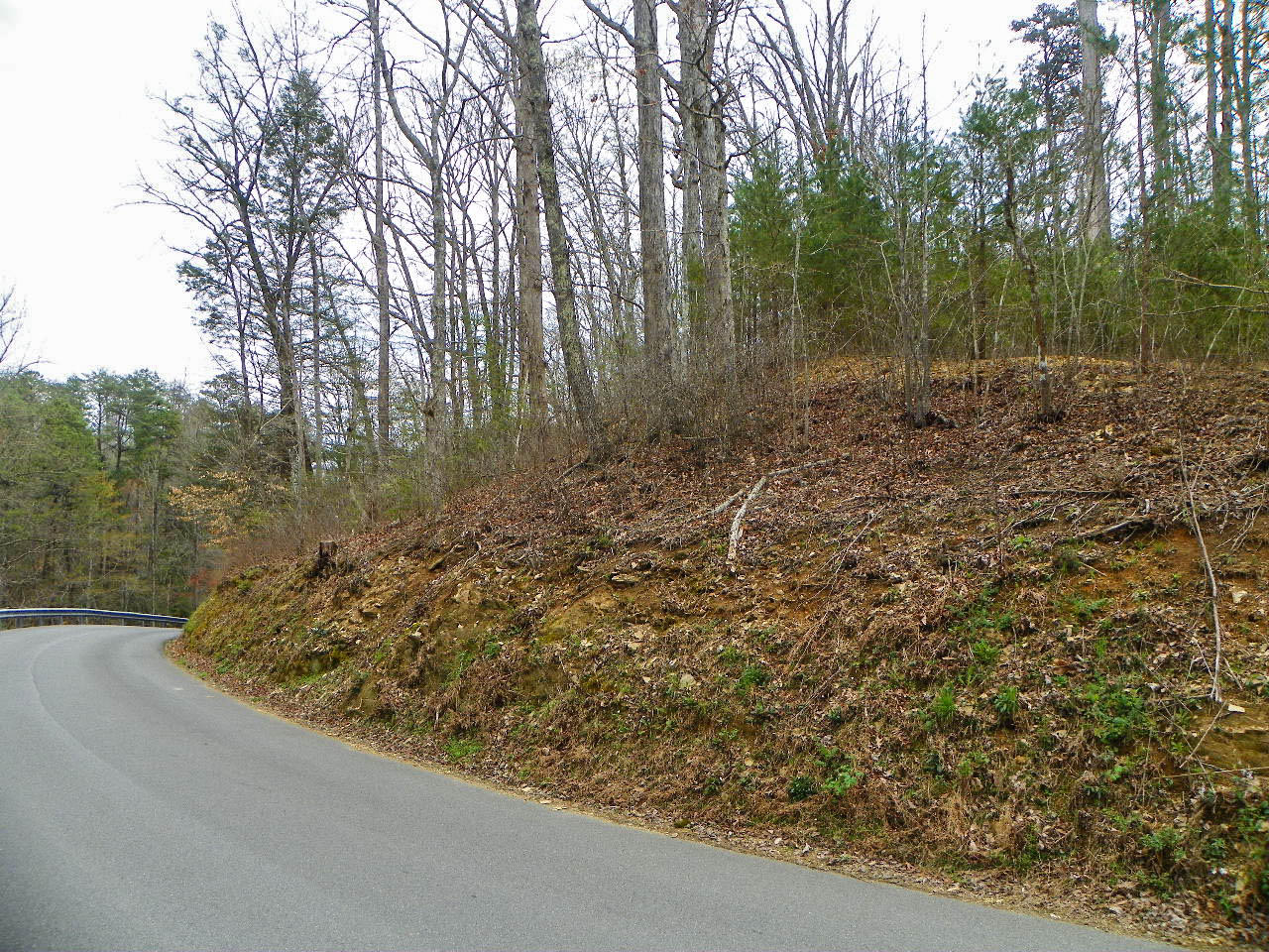 Lot#1 Shady Grove Road Sevierville, TN 37876 - Photo 5 of 8 103_3273