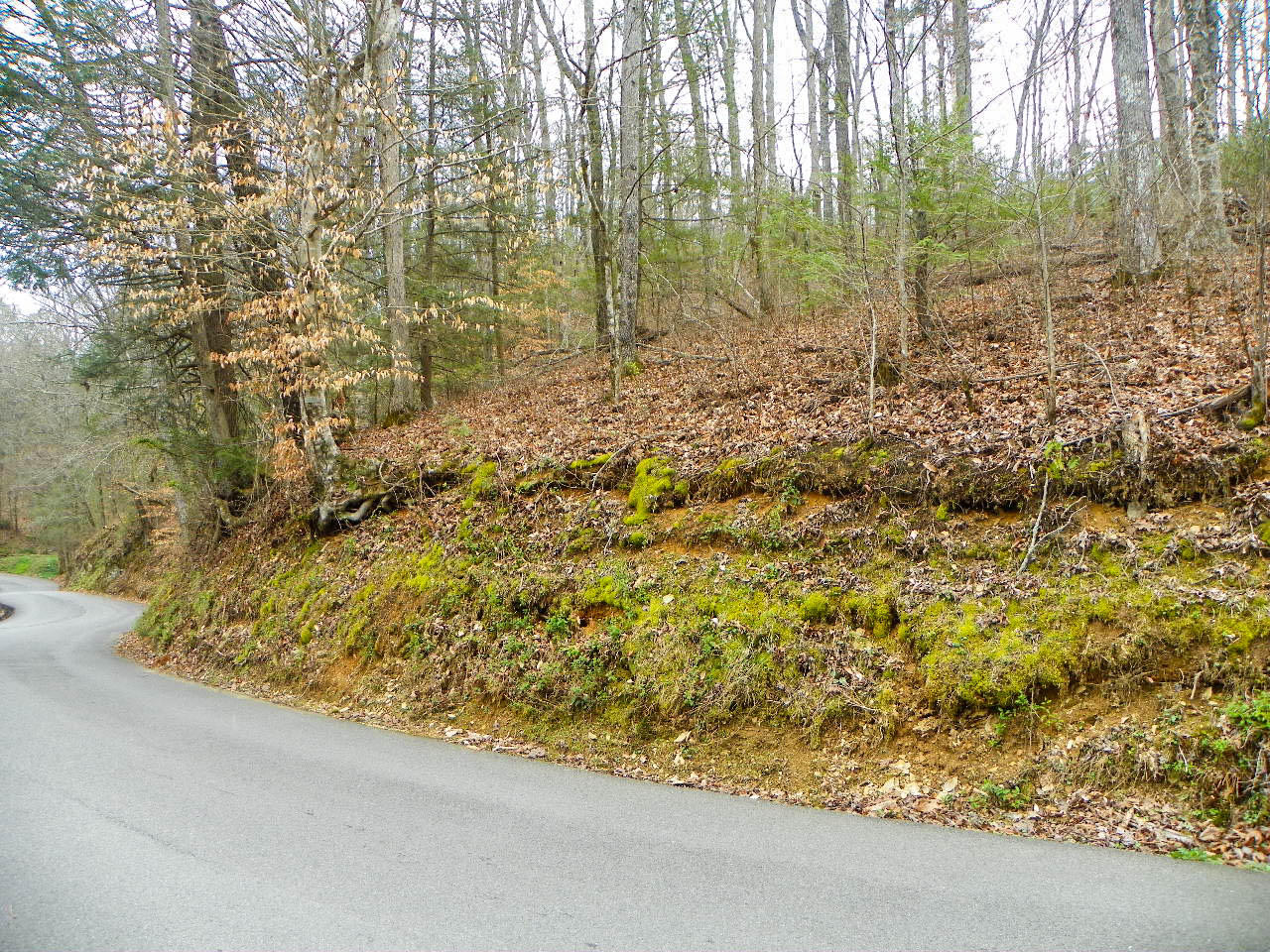 Lot#1 Shady Grove Road Sevierville, TN 37876 - Photo 7 of 8 103_3276