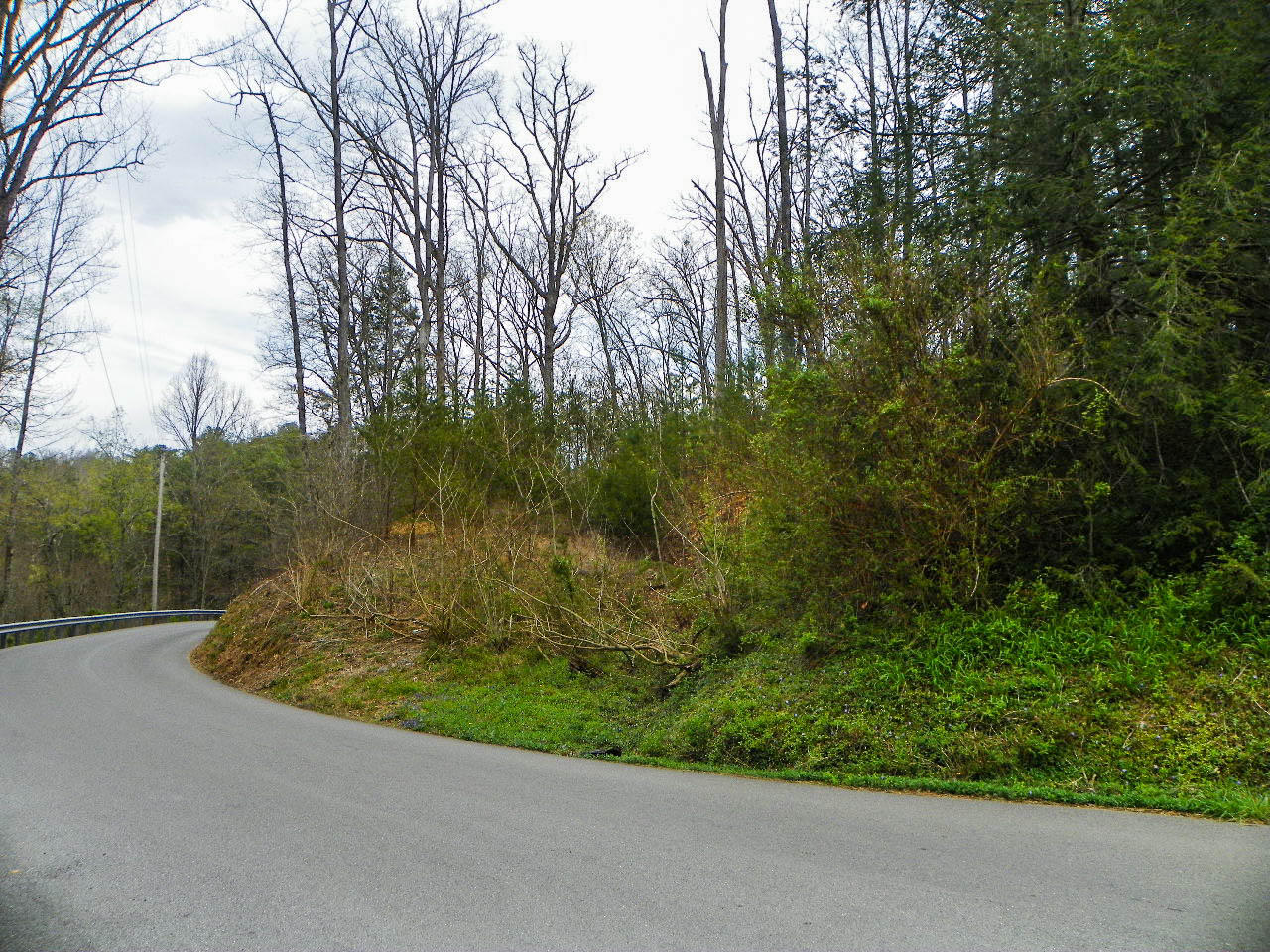 Lot#1 Shady Grove Road Sevierville, TN 37876 - Photo 8 of 8 103_3271