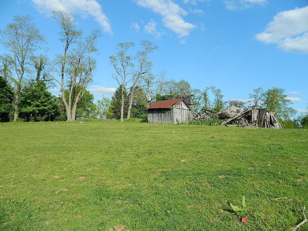 2785 Slack Road Mount Perry, OH 43760 - Photo 12 of 19