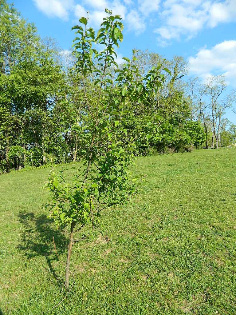 2785 Slack Road Mount Perry, OH 43760 - Photo 17 of 19