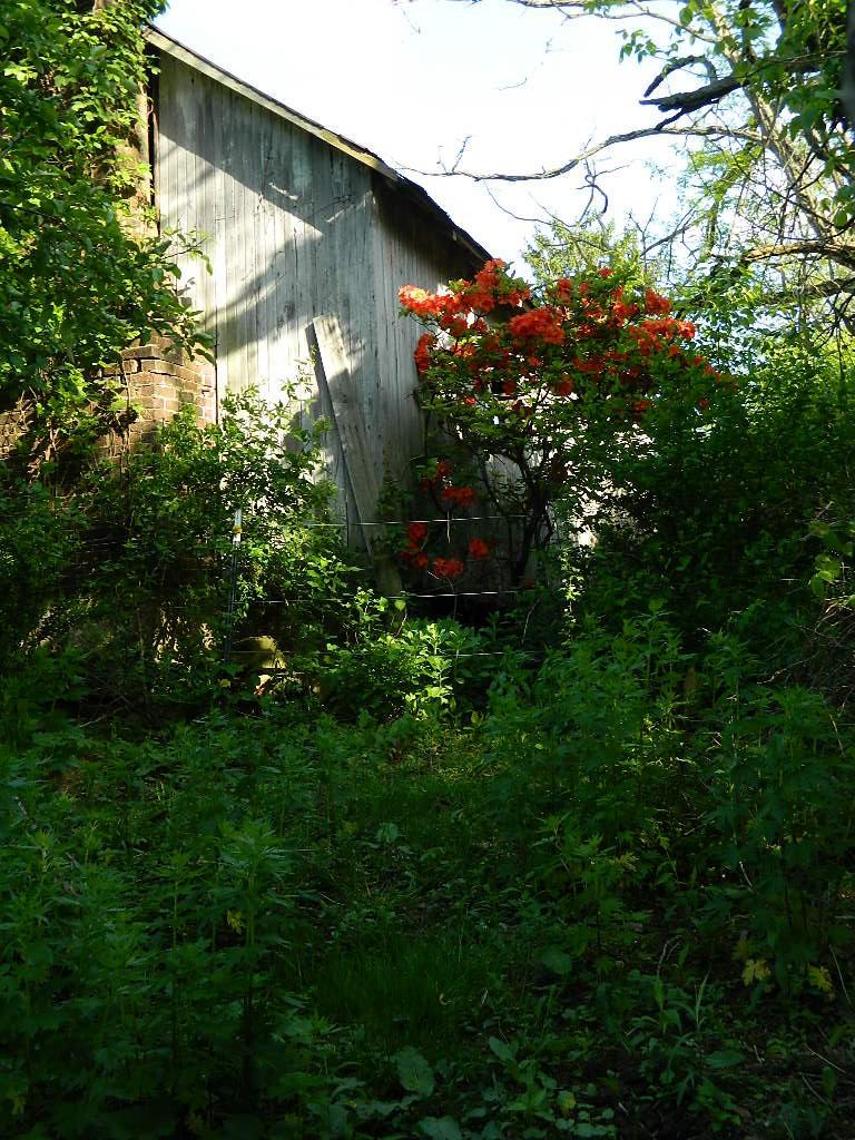 2785 Slack Road Mount Perry, OH 43760 - Photo 4 of 19