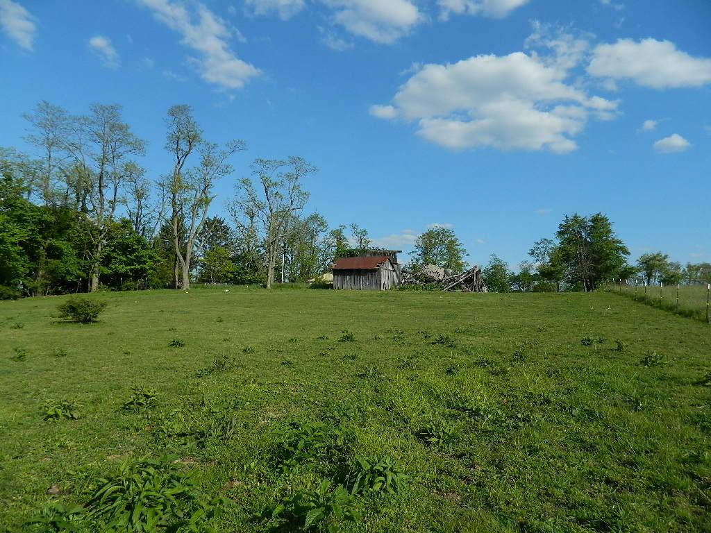 2785 Slack Road Mount Perry, OH 43760 - Photo 5 of 19