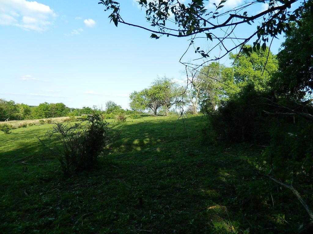 2785 Slack Road Mount Perry, OH 43760 - Photo 7 of 19