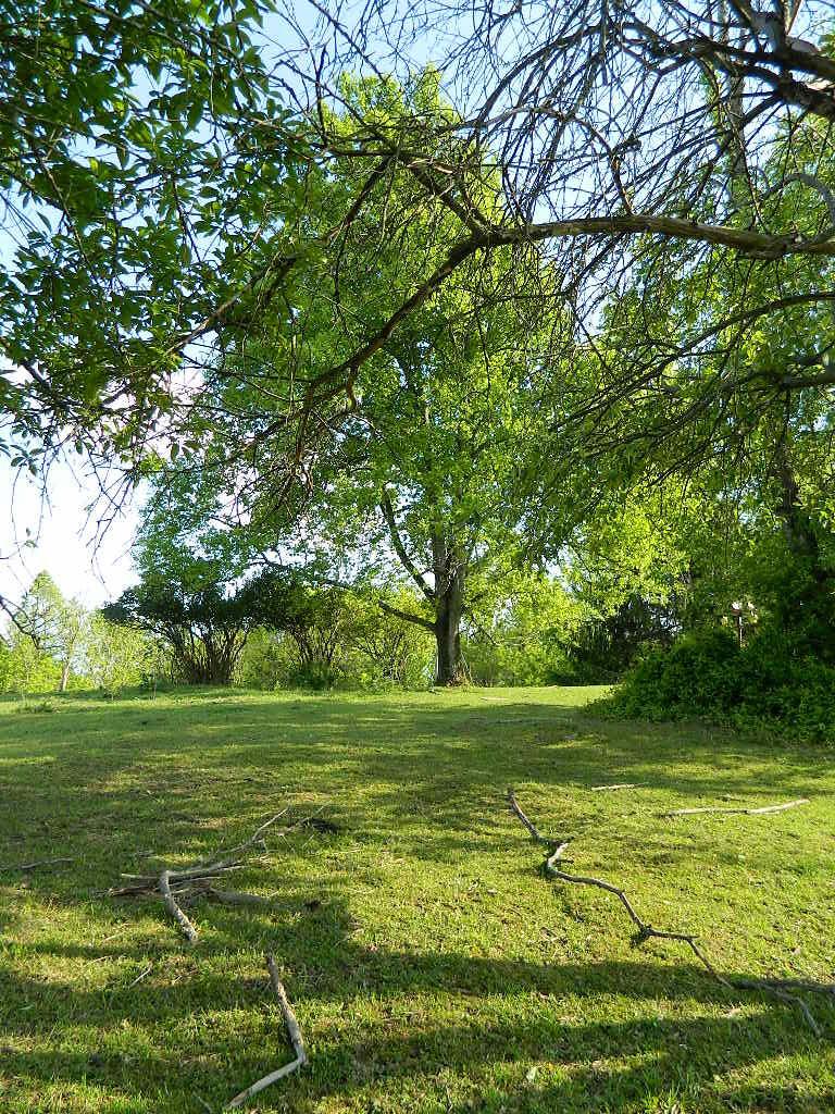 2785 Slack Road Mount Perry, OH 43760 - Photo 8 of 19