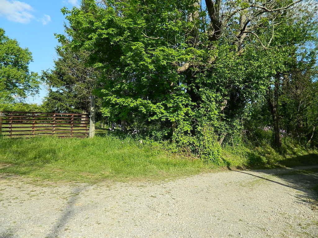 2785 Slack Road Mount Perry, OH 43760 - Photo 10 of 19