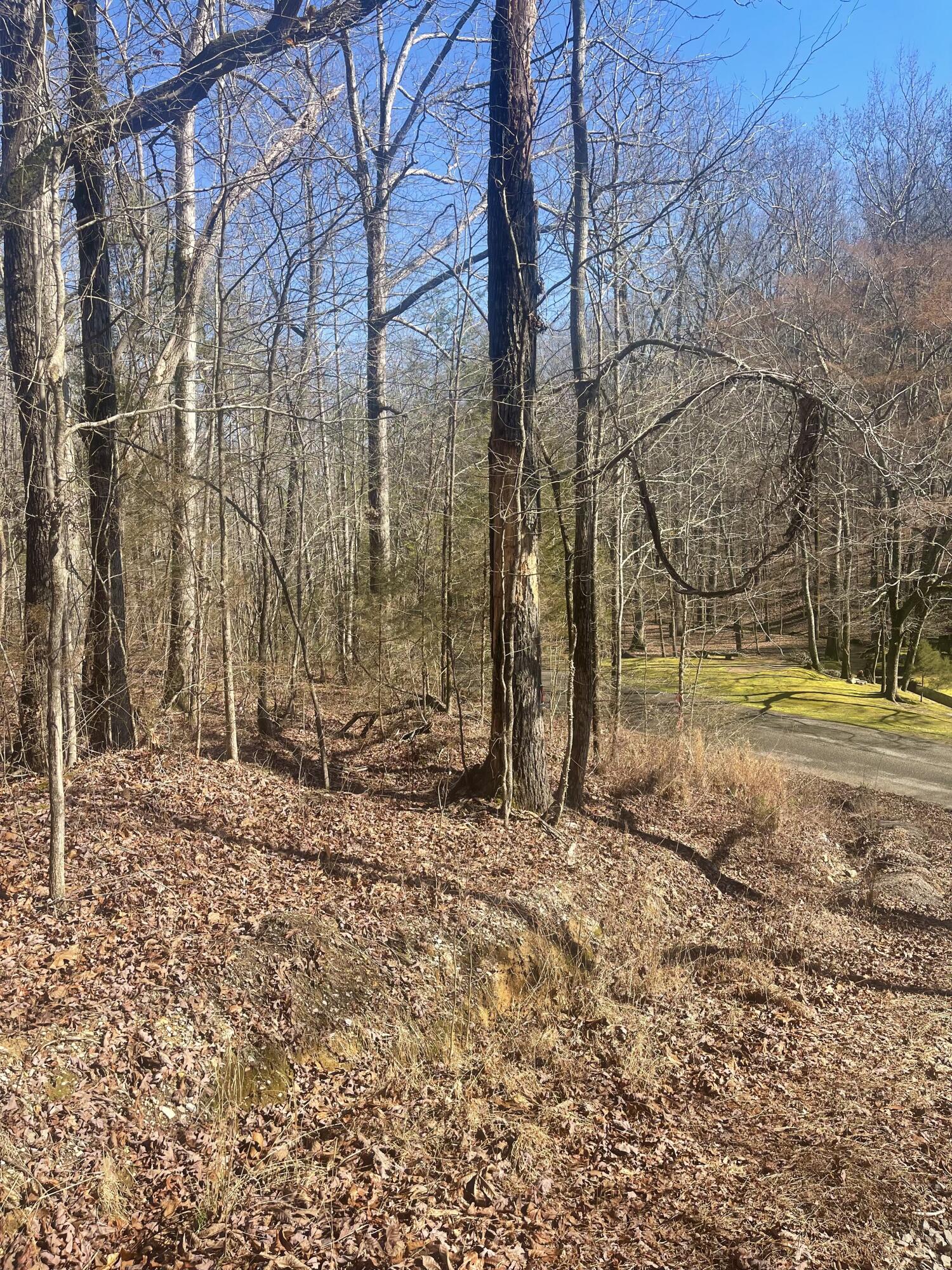 136 Ramsey Road Whitwell, TN 37397 - Photo 50 of 101 C51F9C0C-81D5-4935-BA71-D4B6207A6FBF_1_2